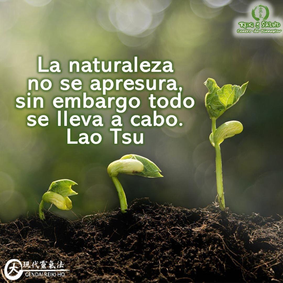 La naturaleza no se apresura, sin embargo todo se lleva a cabo. Lao Tsu. Cada cosa tiene su momento y cada momento, a su vez, nos abre la puerta a una nueva oportunidad. Es por eso que los invitamos a recorrer el camino, teniendo en cuenta los cinco principios de Reiki, de manera de promover una vida en armonía. Si los interiorizamos, entenderemos que así como es la naturaleza, así somos nosotros, todo lo que tiene que darse se dará, sin apresurarse, porque todo tiene su tiempo, así como diría mi mama, el tiempo Dios es perfecto. Enfoquemos la energía en lo que deseamos, sin apego al resultado y tiempo.. Una bella reflexión que hoy comparto con ustedes..Con toda la certeza que, si lo CREES, lo CREAS, compartimos desde Casa Reiki y Salud, un abrazo de luz, con la confianza de que Dios está con nosotros y somos uno con la conciencia universal, y recuerda: ¡a sonreír, agradecer y abrazar tu vida!Gracias, gracias, gracias, un abrazo de luz, Namaste @dinopierini🌍Página WEB: www.gReiki.com#espiritualidad #amor #felicidad #abundancia #meditacion #gratitud #crecimientopersonal #consciencia #alma #bienestar #despertarespiritual #reiki #reikiusui #gendaireiki #reikimaracaibo #reikivenezuela #reikizulia #totalcoherencia