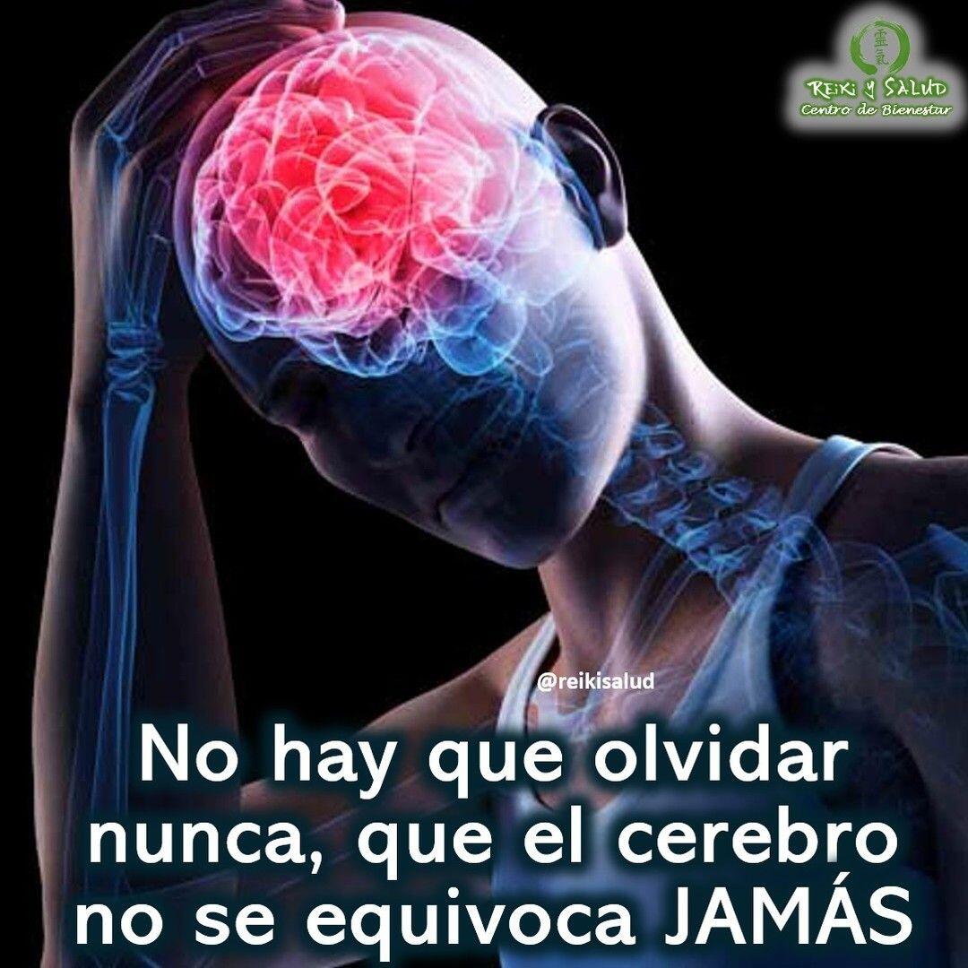 🧠 “No hay que olvidar nunca, que el cerebro no se equivoca JAMÁS”“Si hay dolor es porque el cerebro dice: “A reposar”. Hay que respetar esa inteligencia innata que nos ha permitido sobrevivir desde hacer tantos millones de años”. Dr. Ryke Geerd Hamer. Sabías que tu cuerpo necesita mucha energía para sanar. A veces un aumento de la temperatura, es solo que tu sistema inmune esta actuando como se espera, que esta haciendo bien su trabajo o tus células se están regenerando de forma natural. No sabotees su misión. Tu cuerpo pide descanso, porque no quieres que utilices energía en otras cosas, de manera de permitir que toda la energía disponible, la use el cuerpo para hacer lo que sabe hacer de forma natural, SANAR. Puedes ayudar ese proceso con Reiki, terapias energéticas o meditaciones para ayudarte a alcanzar el equilibrio y armonía, de manera de facilitar el trabajo a tu sistema. Aprende a auto observarte desde la paz, ¿que estabas haciendo, o pensando antes de comenzar la dolencia?Te invito a seguir reflexionando:️ Cada emoción reprimida, afecta diferentes órganos en el cuerpo. ¿Porque crees que se manifestó esa dolencia en esa parte de tu cuerpo? ️ ¿Que crees que te esta diciendo tu cuerpo?️ ¿Tus creencias sobre el tema de salud te ayudan a sanar mas fácilmente?️ ¿Porque tu inconsciente te invito a leer este articulo?️ ¿Que hay en estas palabras para ti?Finalizo con una afirmación de Esther Hicks, ¡No hay nada que deba hacer, excepto aquello que quieras hacer! ️ ¡Feliz viaje de auto descubrimiento!Con toda la certeza que, si lo CREES, lo CREAS, compartimos desde Casa Reiki y Salud, un abrazo de luz, con la confianza de que Dios está con nosotros y somos uno con la conciencia universal, y recuerda: ¡a sonreír, agradecer y abrazar tu vida!Gracias, gracias, gracias, un abrazo de luz, Namaste @dinopierini🌍Página WEB: www.gReiki.com#amor #felicidad #abundancia #meditacion #gratitud #crecimientopersonal #consciencia #alma #bienestar #despertarespiritual #reiki #reikiusui #gendaireiki #reikimaracaibo #reikivenezuela #reikizulia #totalcoherencia