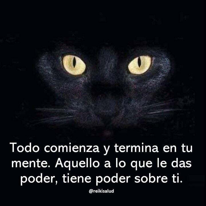 Todo comienza y termina en tu mente. Aquello a lo que le das poder, tiene poder sobre ti.La resistencia a lo que no te gusta produce más resistencia.Muchas personas sostienen que, al resistirse a determinadas cosas en la vida, contribuyen a cambiar el status quo. Nada más errado, porque desde la posición de resistencia lo único que se logra es que aquello que desean cambiar para sí mismos o para los demás, persiste y con más fuerza. Se vuelve multiplicado.Si tu postura de vida es “luchar contra algo”, lo que estás creando es, sencillamente, que ese ‘algo’ se haga cada vez más fuerte. Al poner toda tu atención en contra de lo que luchas, te resistes a ello, y así se forma una posición de combate tal, que las cosas no cambian.Aquí no se trata de que desistas de tu esfuerzo por persistir (que es distinto a resistir) en tus ideales, pensamientos y anhelos. Insisto resistir no es lo mismo que “persistir”: la mayoría de las personas lo confunden. Cambia tus pensamientos y cambiará tu vida.En cambio, todo lo que aceptas, empieza a transformarse. ¿Te suena raro internamente? Aceptar no significa estar de acuerdo ciento por ciento. Es una posición empática para encontrar un nuevo punto de vista superador, no ya en batalla y combate con lo que resistes internamente, sino en actitud colaborativa. Somos nuestra atención. Somos lo que somos por nuestros pensamientos dominantes. Somos conciencia creadora. La realidad no existe, la realidad la estamos creando a cada instante con nuestra actitud mental. De manera consciente o inconsciente siempre estamos atrayendo aquello que somos conscientes de ser.¿Que estas creando en este momento?¿Hay algo o alguien a quien le entregaste TU poder?Feliz viaje de auto descubrimientoGracias, gracias, gracias, Námas, @dinopierini.#felicidad #abundancia #meditacion #gratitud #bienestar #inspiracion #despertar #reikivenezuela #reikimaracaibo #reikizulia #reikisalud #totalcoherencia #smile #sonrie