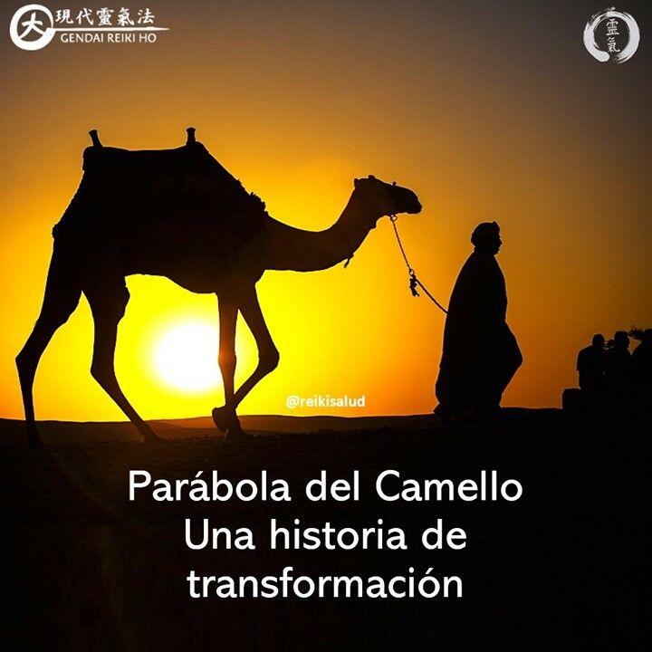 Parábola del Camello, una historia de transformación personal."Un maestro viajaba con uno de sus discípulos. El discípulo era el encargado de cuidar del camello. Ya de noche, cansados, llegaron a un campamento de caravanas. Era tarea del discípulo atar el camello, pero no se preocupó por ello y lo dejó suelto al otro lado de la cerca. Simplemente hizo una plegaria a Dios: «Cuide del camello», y se durmió.Por la mañana, el camello había desaparecido, había sido robado o simplemente había huido. El maestro preguntó: «¿Dónde está el camello?».Y el discípulo respondió: «Yo no lo sé. Pregúntele a Dios. Yo le pedí a Dios que cuidara del camello, me encontraba tan cansado que no sé lo que pasó. Y tampoco soy responsable porque, ¡se lo pedí muy bien a Dios, bien claro!Usted siempre nos dice: confiad en Dios, «¡y yo confié!».El Maestro repuso: «Confía en Dios, pero ata siempre tu camello antes, porque Dios no tiene otras manos que las tuyas»", Anónimo.Esta parábola, nos conecta con el cuarto principio de Reiki, que nos invita a Solo por hoy, Lleva a cabo nuestro trabajo y misión correctamente y desde la paz. Ahora luego de hacer lo que esta a nuestro alcance, nuestra misión es confiar en Dios, sin apego al resultado, confiando que todo lo que nos pasará es lo mejor que nos puede pasar.️ Feliz viaje de auto descubrimiento y despertarCasa Reiki y Salud, una caricia para el alma, ampliando el circulo de luz, promoviendo una vida de salud y felicidad.Gracias, gracias, gracias, Námaste, @dinopierini️ Comparte esta publicación con quien te vino a la mente cuando la leíste., te lo agradecerán, Gracias, gracias gracias🌐 Página WEB: www.gReiki.com#amor #felicidad #abundancia #meditacion #vida #gratitud #bienestar #despertar #reikimaracaibo #reikizulia #reikivenezuela #reikisalud #totalcoherencia #reikisalud #smile