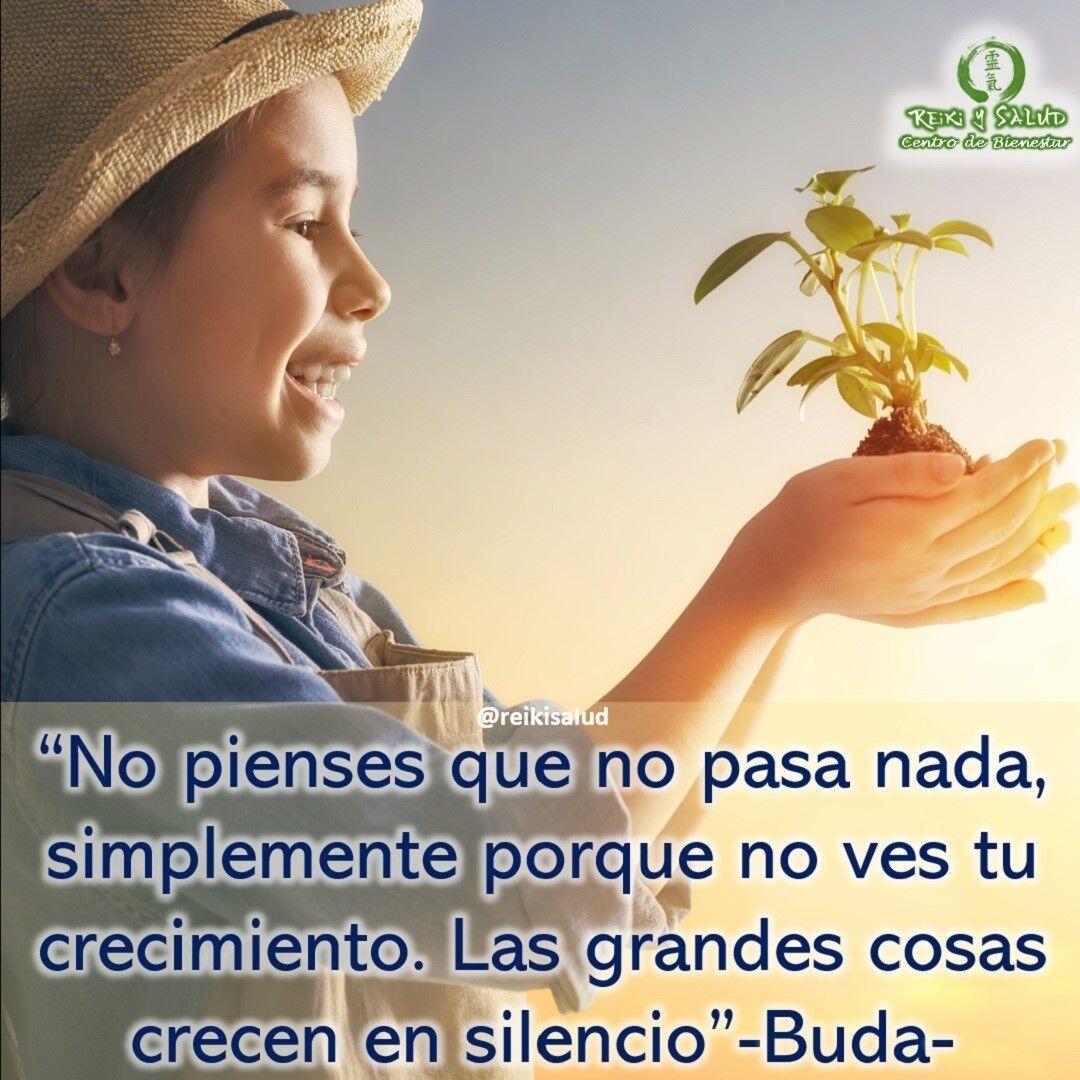 “No pienses que no pasa nada, simplemente porque no ves tu crecimiento. Las grandes cosas crecen en silencio”-Buda- La perseverancia y la confianza que todo lo se me manifiesta será por mi beneficio, son claves para llevar adelante eso que deseas realizar. La famosa frase “persevera y triunfarás” es una realidad y es una que tiene mucho sentido y energía creadora. Tienes que ponerle pasión, ganas, fuerza y alegría a tus sueños y metas para que esa energía vibre en la misma frecuencia de la abundancia infinita del universo; y regrese esa energía con la misma intensidad y sentimiento pero transformada en realidad. Enfoca tu atención en lo que deseas lograr, aunque la forma de lograrlo no este clara en tu mente. La paciencia y perseverancia son dones que debes practicar diariamente. Tu eres el arquitecto de tu vida. Tu construyes la realidad a medida que tus pensamientos y sentimientos se aplican día a día a ese proyecto que creaste para tu nueva vida.️ Feliz viaje de auto descubrimiento y despertar Contáctame al privado o al +58414 6048813, si tienes alguna inquietud, deseas aprender Reiki o para agendar una terapia en nuestro centro Casa Reiki y Salud en Maracaibo o vía remota utilizando la plataforma Zoom.Casa Reiki y Salud, una caricia para el alma, ampliando el circulo de luz, promoviendo una vida de salud y felicidad.Gracias, gracias, gracias, Námaste, @dinopierini️ Comparte esta publicación con quien te vino a la mente cuando la leíste., Gracias, gracias gracias🌐 Página WEB: www.gReiki.com#amor #felicidad #abundancia #meditacion #vida #paz #frases #gratitud #consciencia #alma #bienestar #inspiracion #despertar #reikimaracaibo #reikizulia #reikivenezuela #reikisalud #totalcoherencia #reikisalud #smile #sonreir