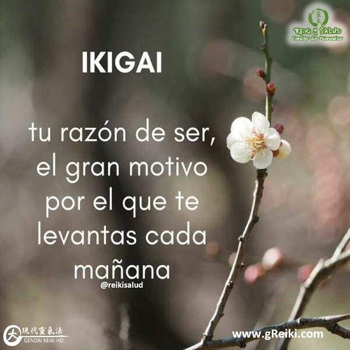 Ikigai, tener una vida que merezca la pena, el gran motivo por le que te levantas cada mañana.La palabra japonesa ikigai se compone de dos vocablos: iki (生き?), que se refiere a la vida, y kai[gai] (甲斐?), “la realización de lo que uno espera y desea, algo que perezca la pena”. Todos tenemos un ikigai, una razón de vivir o de ser. Es decir, es el encontrar el sentido a nuestra existencia, desde el día a día. Realizar actividades alineadas a tu Ikigai, te permitirá alcanzar armonía, paz y alegría, en otras palabras, salud. Tu Ikigai siempre estará, en permanente conexión tu esencia. Eso si, una vez que nos desempeñemos alineado a nuestro Ikigai, sentiremos una inmensa felicidad y una luz interna que dará sentido a nuestra vida.Por supuesto es algo que se transforma con el tiempo, así que debes auto observarte, de manera de identificar cuando lo que hagas no este alineado a tu Ikigai. Nuestro IKGAI esta en balance perfecto con las habilidades, conocimientos y actividades que AMAS HACER, en las que ERES BUENO, pueden PAGARTE o VIVIR DE ELLO y el mundo NECESITA. En otras palabras en la intersección entre tu pasión, vocación, misión y profesión. Es totalmente normal, no estar seguro de cual es tu Ikigai, pero si lo deseas, seguro que lo encontrarás. Y una vez que lo encuentres, estarás contento de haber desarrollado habilidades y recursos, de haberte hecho amigo de personas excepcionales y de haber hecho cosas buenas.Tu sabrás cuando lo que hagas este alineado a tu IkigaiDesde el Casa Reiki y Salud te invitamos a trabajar en descubrir desde la experimentación diaria, a seguir tu IKIGAI, promoviendo de esta manera una vida más feliz, plena, manteniendo de forma continua una alta vibración.️¿Y tú ya sabes cuál es tu IKIGAI? ¿Qué te impide trabajar en él?️ Feliz viaje de auto descubrimiento y despertar.Gracias, gracias, gracias, Namaste, @dinopierini