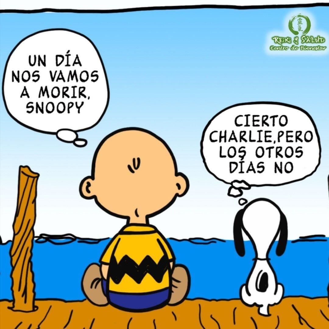 Un día nos vamos a morir Snoopy.Cierto Charlie, pero los otros día NO.️ Feliz viaje de auto descubrimiento y despertar.Con toda la certeza que, si lo CREES, lo CREAS, compartimos desde Casa Reiki y Salud, un abrazo de luz, con la confianza de que Dios está con nosotros y somos uno con la conciencia universal.Casa Reiki y Salud, una caricia para el alma, ampliando el circulo de luz, promoviendo una vida de felicidad y bienestar.Gracias, gracias, gracias, Namaste, @dinopierini️ Comparte esta publicación con quien te vino a la mente cuando la leíste., Gracias, gracias gracias🌐 Página WEB: www.gReiki.com#despertar #reikimaracaibo #reikizulia #reikivenezuela #reikisalud #totalcoherencia #reikisalud #smile #bienestar #reiki