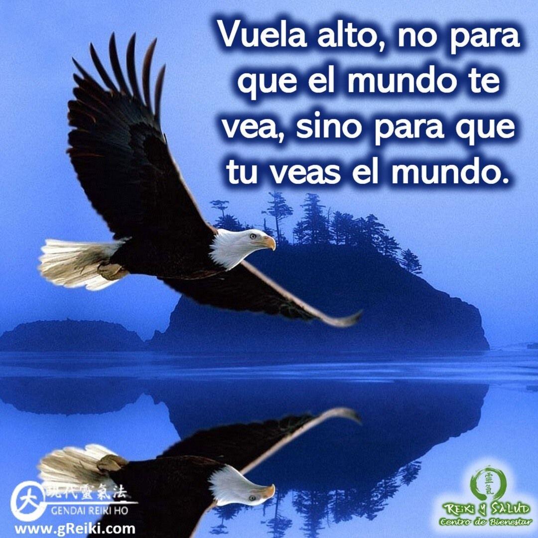 Vuela alto, no para que el mundo te vea, sino para que tu veas el mundo.️ Feliz viaje de auto descubrimiento y despertar.Con toda la certeza que, si lo CREES, lo CREAS, compartimos desde Casa Reiki y Salud, un abrazo de luz, con la confianza de que Dios está con nosotros y somos uno con la conciencia universal.Casa Reiki y Salud, una caricia para el alma, ampliando el circulo de luz, promoviendo una vida de felicidad y bienestar.Gracias, gracias, gracias, Namaste, @dinopierini️ Comparte esta publicación con quien te vino a la mente cuando la leíste., Gracias, gracias gracias🌐 Página WEB: www.gReiki.com#despertar #reikimaracaibo #reikizulia #reikivenezuela #reikisalud #totalcoherencia #reikisalud #smile #bienestar #reiki