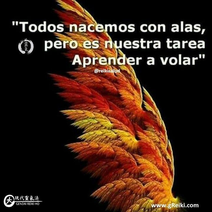 Todos nacemos con alas, pero es nuestra tarea aprender a volar o quizás a recordar como volar.Esto también es cierto con nuestra capacidad de autosanarnos, todos tenemos esa capacidad, solo tenemos que recordar.Con alegría quiero invitarte a iniciar el año 2021, empoderándote de tu energía de salud y promover tu bienestar, aprendiendo Usui Reiki Ryoho, con la escuela tradicional japonesa Gendai Reiki Ho, en Casa Reiki y Salud, ampliando el círculo de luz, dando a conocer esta fórmula para vivir una vida de salud y felicidad."Reiki Ho" es un método en el que utilizamos Reiki, donde te conviertes en un canal puro de la vibración de Reiki, para sanar mente/cuerpo y elevar tu espiritualidad. Reiki te guiará a ser el que realmente eres, permitiendo que la energía divina, nos de lo que más necesitemos.Si quieres aprender esta bella practica, te invitamos al próximo Taller de Reiki Ho Tradicional Japonés, Nivel Shoden (Nivel I - El despertar), de la escuela japonesa Gendai Reiki Ho, que se dictará en el mes de Febrero bajo la modalidad semipresencial; ampliando el círculo de luz, dando a conocer esta fórmula para vivir una vida de salud y felicidad. Si deseas mas información puedes usar el enlace del perfil o visitar nuestra página: www.gReiki.com/REGISTRO.Casa Reiki y Salud, comparte las técnicas de la Gendai Reiki Healing Association de Japón, con el respaldo internacional de la Gendai Reiki Network. Cursos dictados por Dino Pierini (@DinoPierini), Shihan de la escuela Gendai Reiki Ho desde el año 2008 y miembro de la Gendai Reiki Healing Association en Japón.Reiki Ho, una caricia para el alma, ampliando el circulo de luz, promoviendo una vida de salud y felicidad.Gracias, Gracias, Gracias, Námaste, @DinoPierini#reiki #reikimaracaibo #reikivenezuela #reikiusui #gendaireiki #gendaireikiho #sanación #salud #metamedicina #gendaireiki #okuden #reikiusuimaracaibo #cursosmaracaibo #maracaibo