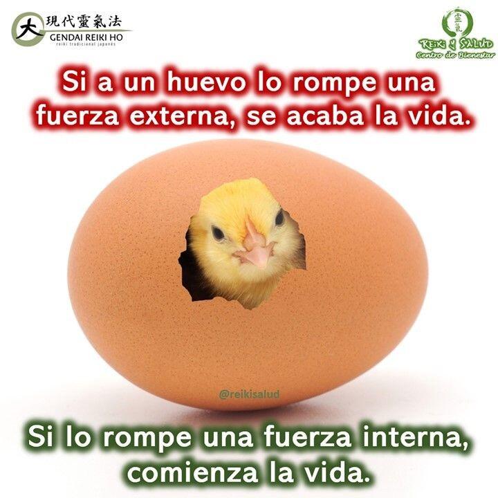 Si a un huevo lo rompe una fuerza externa, se acaba la vida. Si lo rompe una fuerza interna, comienza la vida.No permitas que las fuerzas externas, dominen tu ser y tu estar. Siempre puedes decidir desde tu interior y utilizando tu fuerza interior, crear una nueva realidad alineada a tu vibración.Hace días publique una reflexión ZEN, que hoy es mas valida que nunca: Maestro, ¿Qué significa trabajar en uno mismo?, significa dejar de esperar que los otros cambien. Es tu responsabilidad cambiar desde adentro, para crear una nueva y mejor realidad, un mejor ser.Permite que la luz y el niño que hay en ti, renazca e iluminen tu camino, para nuestro bien y el de la humanidad️ Feliz viaje de auto descubrimiento y despertar.Con toda la certeza que, si lo CREES, lo CREAS, compartimos desde Casa Reiki y Salud, un abrazo de luz, con la confianza de que Dios está con nosotros y somos uno con la conciencia universal.Casa Reiki y Salud, una caricia para el alma, ampliando el circulo de luz, promoviendo una vida de felicidad y bienestar.Gracias, gracias, gracias, Namaste, @dinopierini️ Comparte esta publicación con quien te vino a la mente cuando la leíste., Gracias, gracias gracias🌐 Página WEB: www.gReiki.com#despertar #reikimaracaibo #reikizulia #reikivenezuela #reikisalud #totalcoherencia #reikisalud #smile #bienestar #reiki