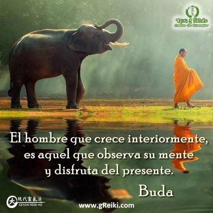 “El hombre que crece interiormente es aquel que observa su mente y disfruta el presente”. Buda️ Feliz viaje de auto descubrimiento y despertar.Con toda la certeza que, si lo CREES, lo CREAS, compartimos desde Casa Reiki y Salud, un abrazo de luz, con la confianza de que Dios está con nosotros y somos uno con la conciencia universal.Casa Reiki y Salud, una caricia para el alma, ampliando el circulo de luz, promoviendo una vida de felicidad y bienestar.Gracias, gracias, gracias, Namaste, @dinopierini️ Comparte esta publicación con quien te vino a la mente cuando la leíste., Gracias, gracias gracias🌐Página WEB: www.gReiki.com#despertar #reikimaracaibo #reikizulia #reikivenezuela #reikisalud #totalcoherencia #reikisalud #smile #bienestar #reiki