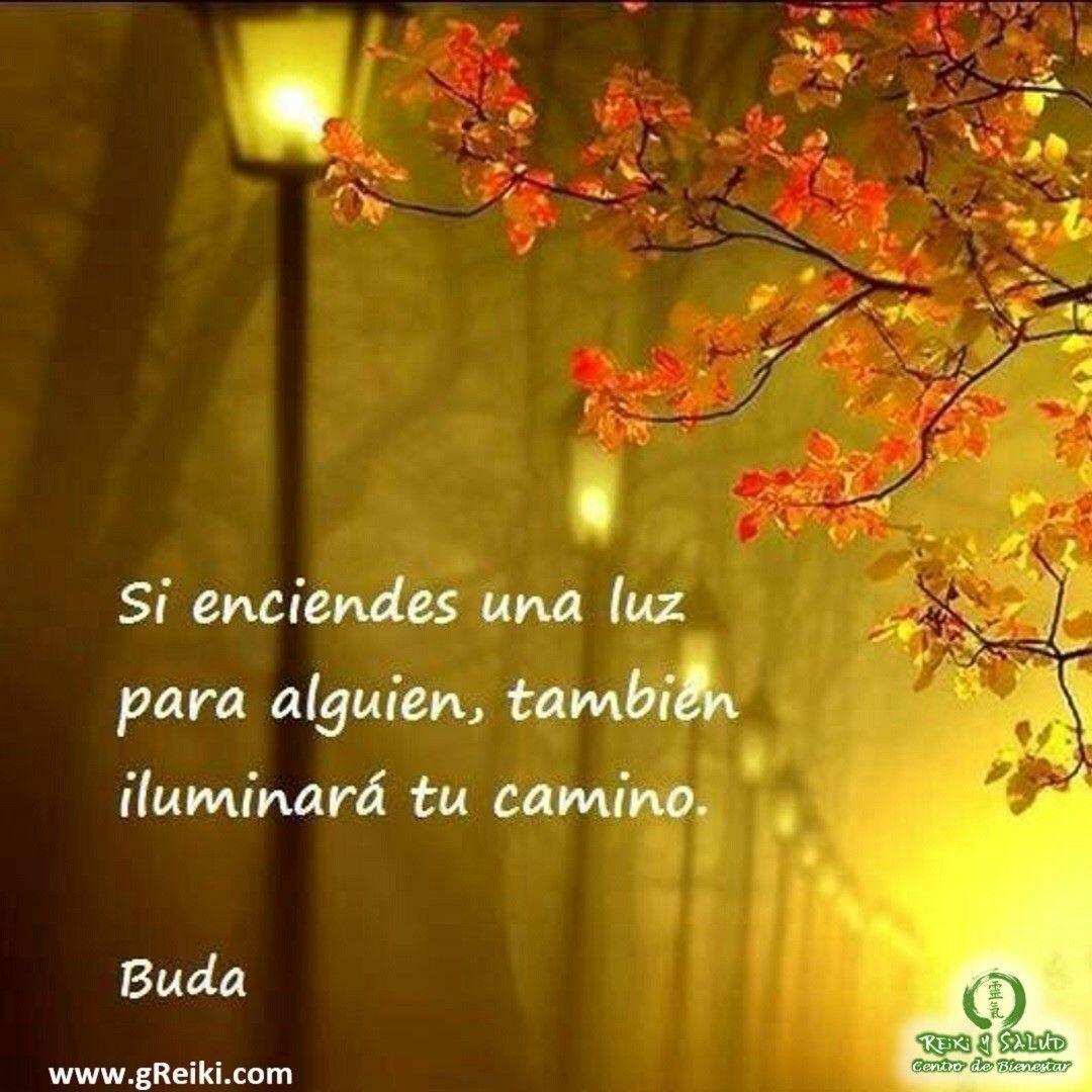 “Si enciendes una luz para alguien, también iluminará tu camino”, Buda️ Feliz viaje de auto descubrimiento y despertar.Si entre tus propósitos del año está el empoderarte de tu energía de armonía y sanación, el curso del 7 de Febrero es para ti. Busca el enlace del perfil.Gracias, gracias, gracias, Namaste, @dinopierini️ Comparte esta publicación con quien te vino a la mente cuando la leíste., Gracias, gracias gracias#despertar #reikimaracaibo #reikizulia #reikivenezuela #reikisalud #totalcoherencia #reikisalud #smile #bienestar #reiki #shoden