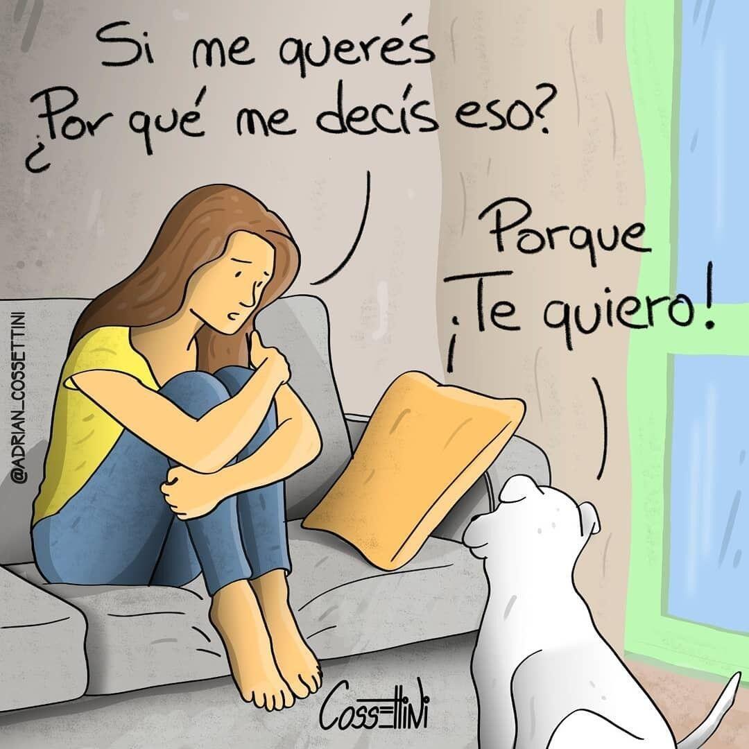 Si me queréis, ¿Por qué me decís eso?, Porque ¡Te Quiero! Te deseo una persona que te diga la verdad. Una que te cuide con su sinceridad para que no te pierdas. Que duela si tiene que doler pero que te salve a tiempo. Te deseo una persona que te hable sin miedos, sin el aplauso embustero, que te pueda decir todo con golpes que no lastimen. Te deseo una persona que sea tu amiga. Si tenés alguien así, dedicáselo!🐕 #anitaysuperrosabio Episodio 8️ Feliz viaje de autoescubrimiento y despertar.Gracias, Gracias, gracias a @adrian_cossettini por sus espectaculares publicaciones y reflexiones; y ustedes por acompañarme cada día, reciban feliz año, Námaste, @dinopierini#amistad#perro#sinceridadbrutal