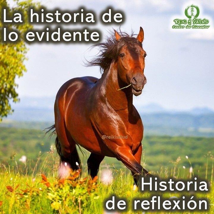 La historia de lo evidente. Las respuestas para tu sanación están dentro de TI. Creo que una forma muy poderosa para profundizar sobre esta afirmación es compartiendo una anécdota de la vida del mulá Nasrudin, el santón y poeta sufí."Nasrudin solía cruzar la frontera entre Irán e Irak montado en su caballo. Cada vez que cruzaba, transportaba una bolsa de piedras preciosas y otra de pócimas medicinales, para lo cual disponía de un permiso aduanero. Cuando el centinela le preguntaba a qué se dedicaba el respondía que “hacia contrabando”. El aduanero lo registraba cada vez, pero nunca encontraba nada anormal.Con cada viaje, Nasrudin se hacia más rico y el centinela se volvía mas receloso, pero jamás descubrió nada. Finalmente, Nasrudin se retiró. Un día el aduanero se lo encontró y se detuvo a hablar con él.« Nasrudin, le dijo, ahora que te has retirado tras haber amasado una fortuna y que ya no puedo denunciarte, cuéntame, por favor, qué era lo que pasabas de contrabando y nunca conseguí descubrir »« CABALLOS », fue la respuesta del mulá”. El mejor lugar para ocultar un secreto es ponerlo a plena vista, donde sólo se puede descubrir cuando uno deja de pensar que está escondido. Esto mismo hace nuestra biología.️ A menudo buscamos fuera de nosotros respuestas que están en nuestro interior. Es lo mismo con nuestras dolencias y enfermedades, la respuesta del ¿para qué? mi cuerpo manifestó algo en mi biología, esta en la misma dolencia y/o enfermedad, esta a simple vista, pero para verla primero debo aceptar que no es culpa de alguien de afuera, que es un castigo divino, o cualquier otra creencia que podamos tener que fortalezca nuestra dolencia. ¿ Y tú, ya te diste el permiso de escuchar tu cuerpo, de escuchar tu esencia, y abrirte a las respuestas para que alcanzar tu armonía y bienestar? Con toda la certeza que, si lo CREES, lo CREAS, compartimos desde Casa Reiki y Salud, un abrazo de luz, con la confianza de que Dios está con nosotros y somos uno con la conciencia universal.Gracias, gracias, gracias, Námaste, @dinopierini#bienestar #reikimaracaibo #reikivenezuela #reikizulia #bienestar