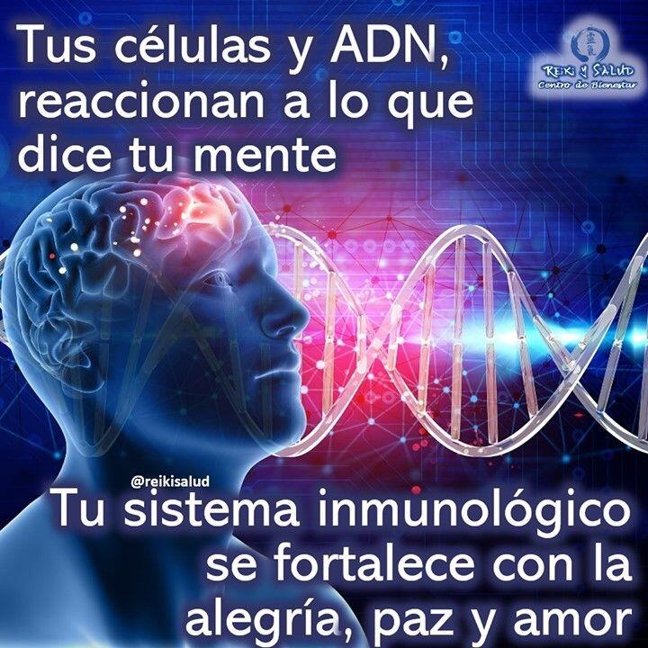 Tus células y ADN, reaccionan a lo que dice tu mente. Tu sistema inmunológico se fortalece con la alegría, paz y amor.️No te pido que monitorees todos tus pensamientos, porque eso es imposible. Lo que si puedes hacer es tomar consciencia de como te sientes. Es fácil, solo tienes que responder si te sientes BIEN o MAL con respecto a cualquier situación.¿Cómo te sientes en este momento?😀 Si te sientes bien, excelente disfrútalo, sigue haciendo lo este haciendo porque lo estas haciendo bien.☹️ Si por el contrario te sientes mal, hay algo que debe ser observado.⚗️ Nuestro cuerpo es el laboratorio mas sofisticado que existe y segrega químicos a cada momento. Si tus pensamientos son estresantes, los químicos que segregan tu cuerpo podrían ser tóxicos, incluso podrías convertirte en adictos a ellos.Si te sientes BIEN, el cuerpo responderá con químicos que fortalecerán tu sistema inmunológico.No hay nada que temer, solo notar, y es como te sientes. Siempre puedes hacer algo por tu mismo y es momento de poner manos a la obra, haciendo las cosas que te hacen feliz, dada las circunstancias actuales por supuesto.😀Algunas recomendaciones:1️⃣ Deja de ver cosas que no te aporten, o que te puedan hacer sentir mal, aunque sea de manera recreativa.2️⃣ Conversa con otros de cosas positivas y motivadoras3️⃣ Busca actividades que promuevan tu sonreír, reír. 4️⃣ Fabrica momentos felices con tu familia5️⃣ Crea tu kit de endorfinas, películas, música y libros que sabes que te hacen sentir bien.6️⃣ Medita y práctica Reiki7️⃣ Come sano. Por ejemplo puedes comenzar por dejar de consumir refrescos y bebidas procesadas.8️⃣ Consume mucha agua🌞 Atrévete a iluminar tu casa, y desde allí el mundo.Con toda la certeza que, si lo CREES, lo CREAS, compartimos desde Casa Reiki y Salud, un abrazo de luz, con la confianza de que Dios está con nosotros y somos uno con la conciencia universal.Gracias, gracias, gracias, Námaste, @dinopieriniNada es casual, comparte este mensaje con los que vivieron a tu mente, mientras lo leías, quizás lo necesiten, Gracias, gracias gracias#reikisalud #reikimaracaibo #reikivenezuela #reikizulia #saludybienestar