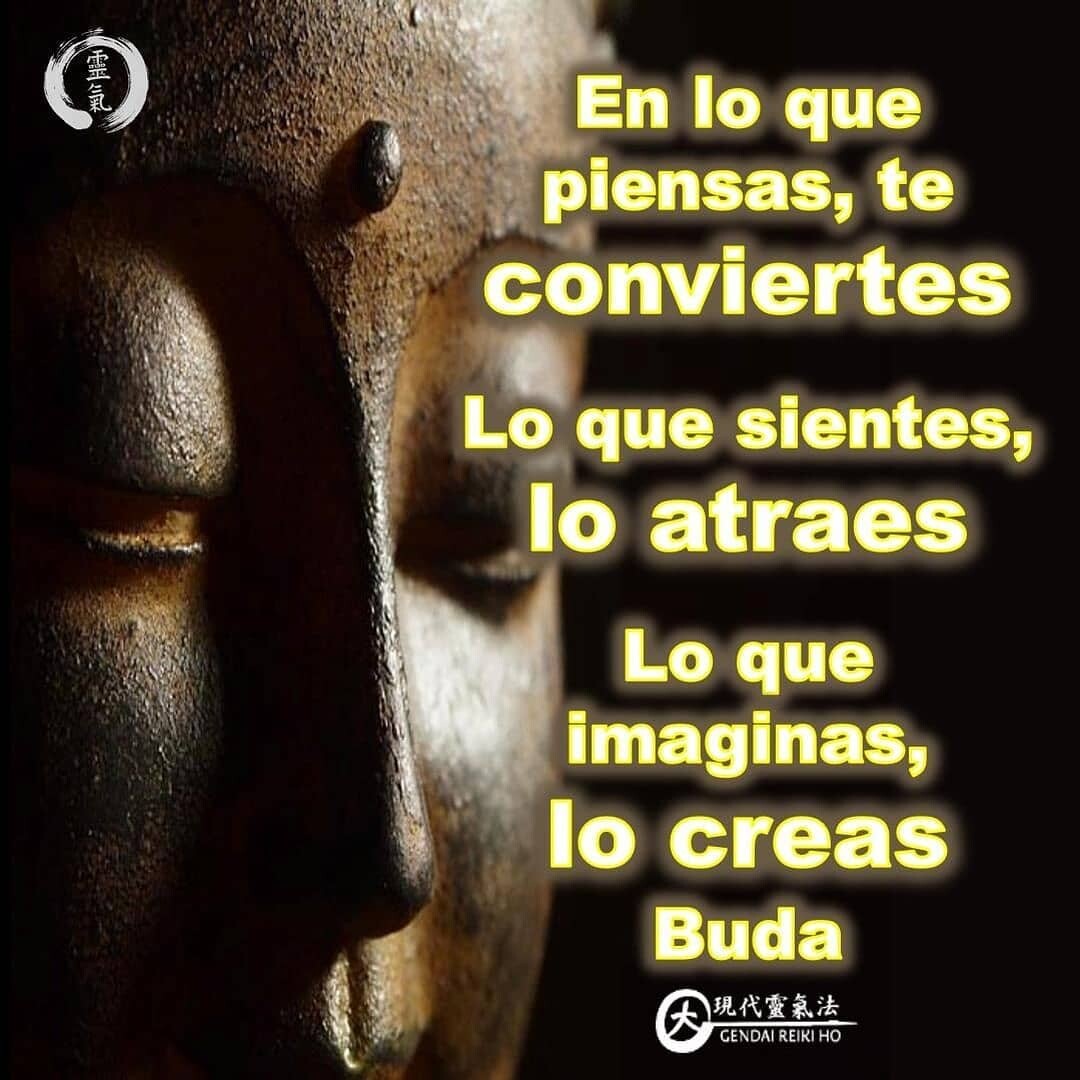 En lo que piensas, te conviertes.Lo que sientes, lo atraes.Lo que imaginas, lo creas.Buda.️ Una reflexión:¿En que te estas convirtiendo?¿Que estas atrayendo?¿Que estas creando?. Si hay algo que llego a tu mente que no te gusta, que esperas para hacer un cambio de pensamientos y emociones.. No permitas que el pasado familiar y/o futuro predecible, te dominen, permite que la belleza de la incertidumbre del momento presente, te permita evolucionar..Casa Reiki y Salud, una caricia para el alma, ampliando el circulo de luz, promoviendo una vida de felicidad y bienestar..Gracias, gracias,  gracias, Námaste..Si te gusta la publicación Compártela, COMENTA, Gracias, gracias gracias.🌍Página WEB: www.gReiki.com.#espiritualidad #amor #felicidad #abundancia #meditacion #vida #paz #frases #love #luz #gratitud #crecimientopersonal #consciencia #alma #bienestar #inspiracion #despertar #despertarespiritual #reikimaracaibo #reikizulia #reikivenezuela #saludybienestar #reikisaludReposted from @reikisalud