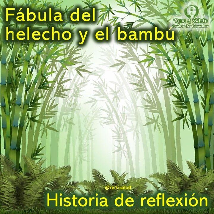 Fábula del Helecho y el Bambú. Había una vez un carpintero que parecía tener su vida resuelta, sin embargo con el tiempo por circunstancias de su vida, fue perdiendo su amor por su vida, su familia y trabajo. El carpintero se sentía desanimado y un día, a punto de renunciar a todo, decidió ir al bosque a ver a un viejo sabio.Adentrado en el bosque encontró al anciano, quien lo invitó a pasar para que tomaran té. Notó la preocupación en su semblante y le preguntó qué le pasaba. El carpintero le relató sus desventuras, mientras el anciano lo escuchaba atenta y serenamente.El anciano invitó al carpintero para que caminarán por el bosque. -Mira a tu alrededor, me respondió, ¿ves el helecho y el bambú?-Sí, respondí-Cuando sembré las semillas del helecho y el bambú, las cuidé muy bien. El helecho rápidamente creció. Su verde brillante cubría el suelo. Pero nada salió de la semilla de bambú. Sin embargo, no renuncié al bambú-En el segundo año el helecho creció más brillante y abundante y nuevamente, nada creció de la semilla de bambú. Pero no renuncié al bambú-En el tercer año, aún nada brotó de la semilla de bambú. Pero no renuncié al bambú-En el cuarto año, nuevamente, nada salió de la semilla de bambú. Pero no renuncié al bambú-En el quinto año un pequeño brote de bambú se asomó en la tierra. En comparación con el helecho era aparentemente muy pequeño e insignificante-El sexto año, el bambú creció más de 20 metros de altura. Se había pasado cinco años echando raíces que lo sostuvieran. Aquellas raíces lo hicieron fuerte y le dieron lo que necesitaba para sobrevivir-¿Sabías que todo este tiempo que había estado fortaleciendo sus raíces?-El bambú tiene un propósito diferente al del helecho, sin embargo, ambos son necesarios y hacen del bosque un lugar hermoso-Nunca te arrepientas de un día en tu vida-El secreto es disfrutar del camino, desde la armonía, y el camino se revelará para tu mejor bienestar.️ Feliz viaje de auto descubrimiento y despertarCasa Reiki y Salud, una caricia para el alma.Gracias, gracias, gracias, Námaste, @dinopierini🌐 Página WEB: www.gReiki.com#reikimaracaibo #reikizulia #reikivenezuela