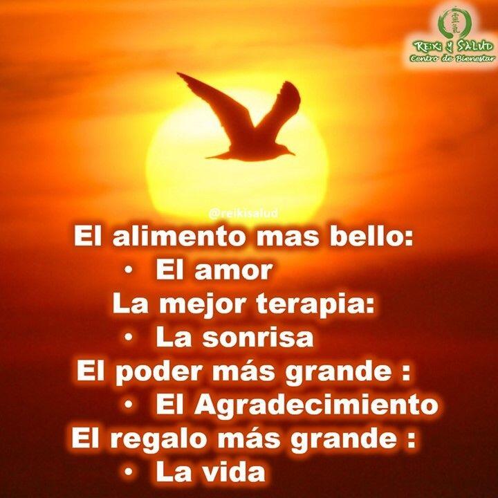 El poder mas grande: El amor.La mejor terapia: La sonrisa.La llave de la abundancia: El Agradecimiento.El regalo más grande : La vida. Vivo cada día bajo estas afirmaciones y los principios de Reiki, compartiendo con mi familia y los que me rodean, enamorado de la vida y de lo que hago. Gracias, gracias, gracias, y un abrazo de luz a todos los que ,e han acompañado en mi camino de vida. Muchas sorpresas y proyectos que desarrollar.Con toda la certeza que, si lo CREES, lo CREAS, compartimos desde Casa Reiki y Salud, un abrazo de luz, con la confianza de que Dios está con nosotros y somos uno con la conciencia universal. Quiero invitarte a conocer la bella practica de Reiki Ho y mejorar tu conexión con la energía de la más alta vibración, de la más alta dimensión, de la energía más pura del universo; permitiendo que la energía de la creación, nos de lo que más necesitemos, promoviendo en nuestras vidas, salud y felicidad.Contáctame al privado o vía whatsap/telegram al +58 414 6048813, si tienes alguna inquietud, deseas aprender Reiki en el futuro en nuestro centro terapéutico, Casa Reiki y Salud, en Maracaibo.Casa Reiki y Salud, una caricia para el alma, ampliando el circulo de luz, promoviendo una vida de felicidad y bienestar.Gracias, gracias, gracias, Námaste, @dinopieriniSi te gusta la publicación Compártela, COMENTA, Gracias, gracias gracias🌍Página WEB: www.gReiki.com#espiritualidad #amor #felicidad #abundancia #meditacion #vida #paz #frases #love #luz #gratitud #crecimientopersonal #consciencia #alma #bienestar #inspiracion #despertar #despertarespiritual #reikimaracaibo #reikizulia #reikivenezuela #saludybienestar #reikisalud