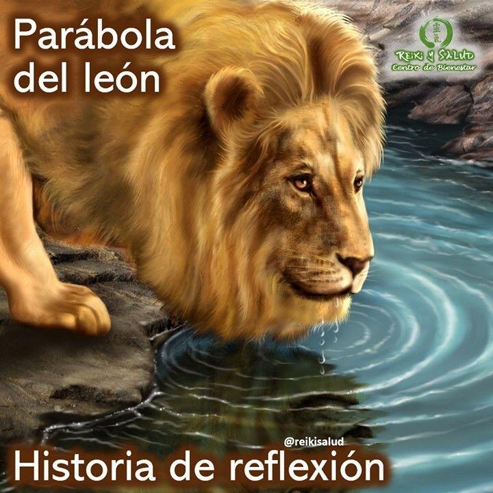 Parábola del León. En una vasta sabana africana, un león vagaba perdido. Tenía más de veinte días deambulando alejado de su manada, por lo que el hambre y la sed estaban acabando con su vida. Por suerte, encontró un lago de agua fresca y cristalina. Emocionado, el león corrió hacia él para beber y calmar su sed, y con esto poder continuar buscando a su familia.Pero al acercarse, vio el rostro de un león en las aguas y pensó:-¡Qué lástima! Este lago le pertenece a otro león.Aterrorizado, huyó del lugar sin beber una gota de agua. Pero la sed cada vez era mayor y el león sabía que si no bebía agua moriría. Al día siguiente, se armó de valor y volvió al lago. Igual que el día anterior, volvió a ver el rostro en el agua y, víctima de su pánico, se fue corriendo sin beber.Y así pasaron los días. El león volvía al lago y huía cuando veía al otro león. Pero un día, cansado de escapar, se armó de valor y finalmente comprendió que moriría pronto si no se enfrentaba a su rival. Tomó la decisión de beber agua sin importar lo que pasara. Se acercó al lago con determinación, pero cuando metió su cabeza para beber, su rival desapareció. ¡Era su reflejo en el agua lo que había estado observando todo este tiempo!La mayoría de nuestros miedos y temores son imaginarios. Pero cuando nos atrevemos a enfrentarlos, estos desaparecen. No permitas que tus pensamientos te dominen y te impidan avanzar para vivir plenamente.️ Feliz viaje de auto descubrimiento y despertarCasa Reiki y Salud, una caricia para el alma, ampliando el circulo de luz, promoviendo una vida de salud y felicidad.Gracias, gracias, gracias, Námaste, @dinopierini🌐 Página WEB: www.gReiki.com#amor #felicidad #abundancia #meditacion #vida #paz #frases #gratitud #consciencia #alma #bienestar #inspiracion #despertar #reikimaracaibo #reikizulia #reikivenezuela #reikisalud #totalcoherencia #reikisalud #smile #sonrie