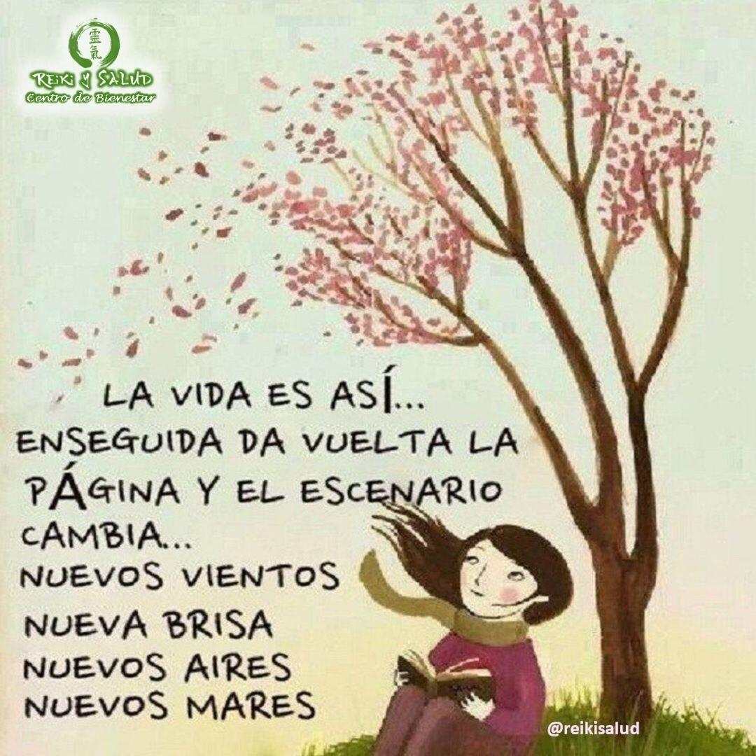 La vida es así. Enseguida da vuelta la página y el escenario cambia, nuevos vientos, nueva brisa, nuevos aires, nuevos mares.¿Qué esperas para dar vuelta a la página?Conéctate siempre con el camino de paz y plenitud️ Feliz viaje de auto descubrimiento y despertarCasa Reiki y Salud, una caricia para el alma, ampliando el circulo de luz, promoviendo una vida de salud y felicidad.Gracias, gracias, gracias, Námaste, @dinopierini️ Comparte esta publicación con quien te vino a la mente cuando la leíste., te lo agradecerán, Gracias, gracias gracias🌍Página WEB: www.gReiki.com#amor #felicidad #abundancia #meditacion #vida #consciencia #alma #bienestar #inspiracion #despertar #despertarespiritual #reikimaracaibo #reikivenezuela #reikizulia