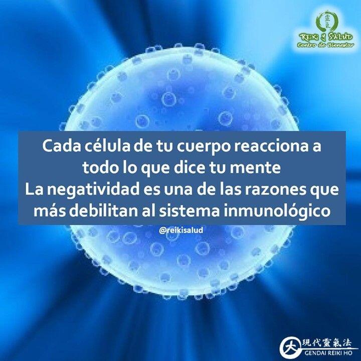 Cada célula de tu cuerpo reacciona a todo lo que dice tu mente. La negatividad es una de las razones que más debilitan al sistema inmunológico. La declaración anterior es muy poderosa. Pudieras pensar que son palabras de moda, sin embargo, les afirmo con toda confianza, que son una realidad, soportada por la CIENCIA. La respuesta inmunológica, depende de muchos actores, algunos actúan bajo respuesta inmunológica general y otros bajo respuesta dirigida. Algunos de los actores son los Linfocitos T y B, Macrófagos, Monocitos, Neutrófilos, Células dendríticas y muchos otros, donde su efectividad depende del ambiente emocional donde se desempeñan.🌐 La ciencia, ya ha demostrado que un ambiente neurológico, hormonal y endocrino, vivido bajo emociones regeneradoras como la alegría, felicidad, amor, plenitud, entre otras; permiten que los actores de la respuesta inmune se desempeñen a su máximo desempeño.Por otra parte, si vivimos bajo emociones estresantes o emociones que nos drenan nuestra energía vital, es imposible que la respuesta inmune se presente de forma óptima, porque bajo estas emociones, nuestro cuerpo está programado para activar las respuestas de protección, defensa o huida, donde la regeneración y sanación no es la prioridad, porque el cuerpo CREE que esta bajo una AMENAZA real, y sobrevivir es la prioridad. Todas las emociones son buenas y bienvenidas, todas, la afectación biológica, se presenta cuando vivimos bajo emociones que nos drenan nuestra energía vital, porque nuestro cuerpo no puede regenerarse de forma natural. Si aprendemos a alcanzar nuestra armonía y balance, renovando nuestra energía vital de forma consciente, independientemente de lo que sucede a nuestro alrededor, le permitiremos a nuestro cuerpo hacer lo que sabe hacer de forma natural, que es SANAR.🌞 Una reflexión:¿Que vas a hacer con este conocimiento?¿Te comprometes ayudar a tu respuesta inmunologica?Feliz viaje de autodescubrimiento.Gracias, gracias, gracias, un abrazo de luz, Námaste, @dinopierini🌍Página WEB: www.gReiki.com#reiki #reikiusui #reikivenezuela #reikimaracaibo #reikizulia