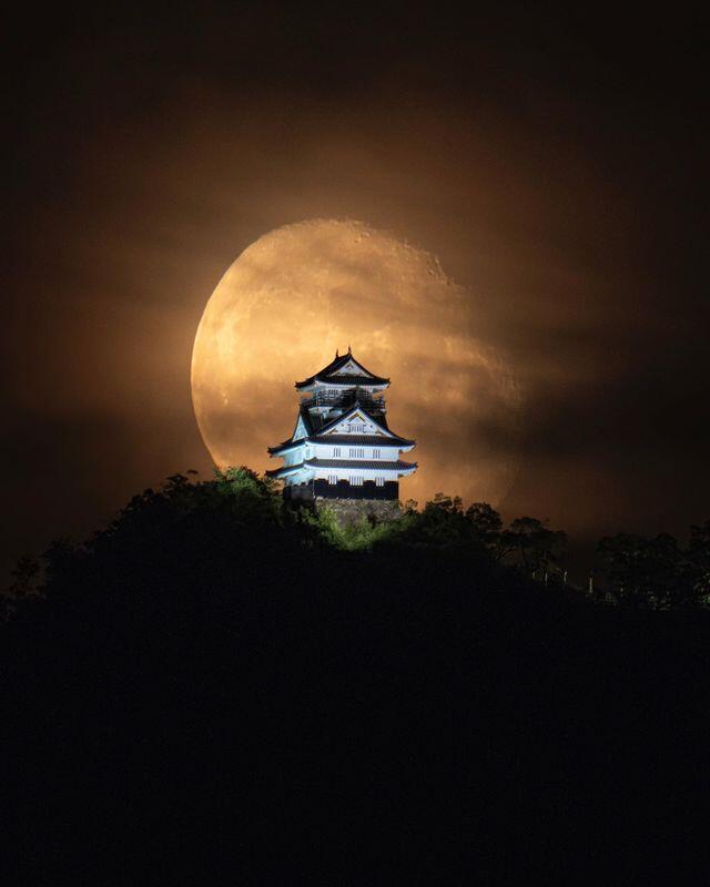 Luna sobre el Castillo Gujo Hachiman. Este castillo es llamado yamashiro, o castillo de montaña, ubicado en la montaña Hachiman en la prefectura de Gifu.¿Cuál es el castillo más hermoso que jamás hayas visto? Hermosa foto tomada por ⁣⁣@ag.lr.88 Photo by @ag.lr.88️ Otro hermoso castillo en Japón.️ Feliz viaje de autodescubrimiento y despertarCasa Reiki y Salud, una caricia para el alma, ampliando el circulo de luz, promoviendo una vida de felicidad y bienestar.Gracias, gracias, gracias, Námaste, @dinopierini🌐Página WEB: www.gReiki.com#consciencia #alma #bienestar #inspiracion #despertar #despertarespiritual #reikimaracaibo #reikivenezuela #reikizulia#japon #GujoHachiman #Hachiman