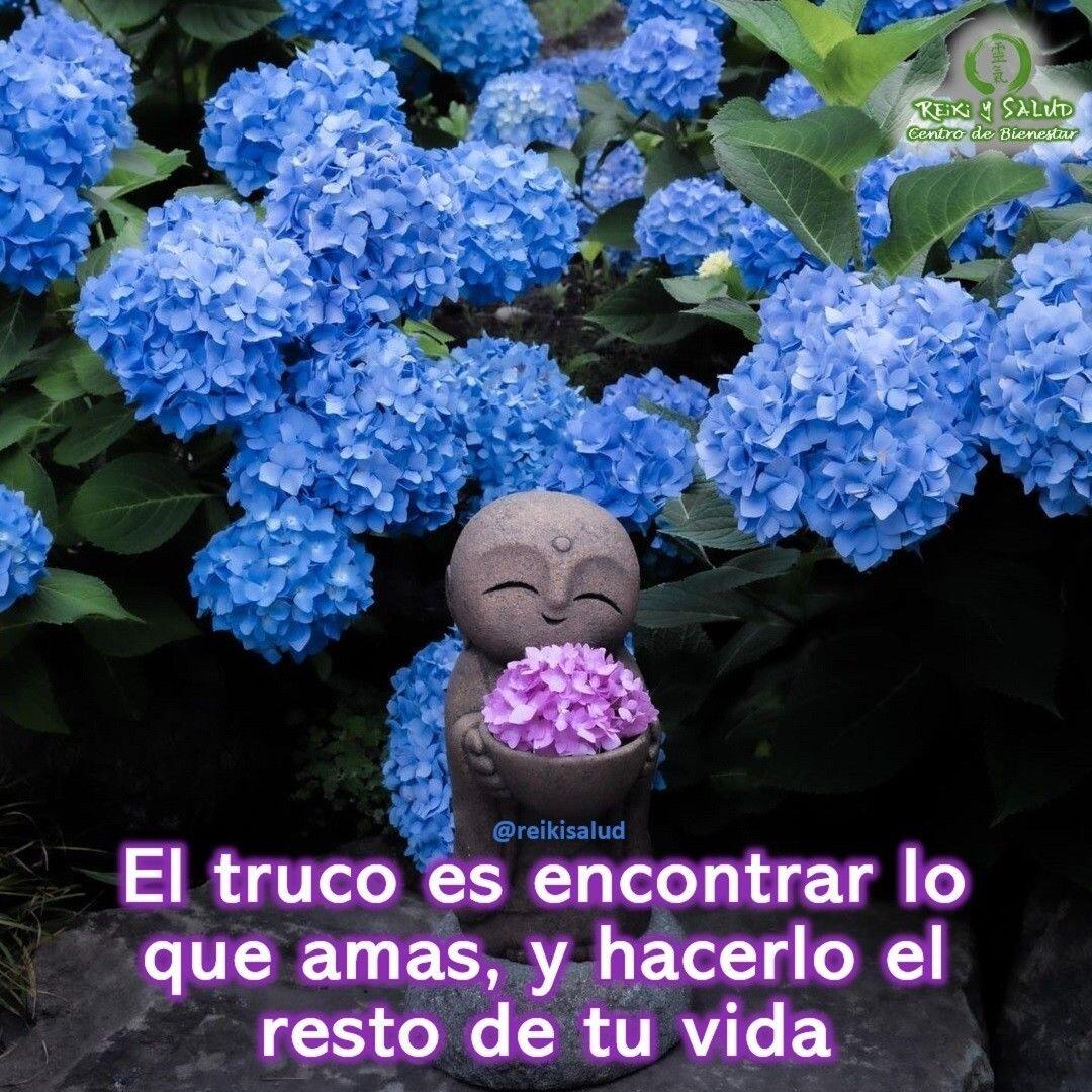 El truco es encontrar lo que amas, y hacerlo el resto de tu vida.Si tienes dudas, te invito a pensar en las cosas que te encanta hacer:Para encontrar tu pasión, primero debes prestar atención a tu vida y descubrir si ya hay algo en ella que te encante, no simplemente que lo hagas con cierta frecuencia. Descubre qué cosas te encantan y canalizarlo de una forma productiva puede ayudarte a conectar con lo que sucede en tu corazón. Comparto contigo algunas preguntas para que invitarte a reflexionar sobre lo que realmente te gusta hacer:¡Pregúntatelas en primera persona!️¿Cuáles son mis metas de vida?️¿Si pudiera hacer algo por el resto de mi vida, qué sería eso?️¿Qué es eso que me encanta hacer?️¿Qué haría aun si no fuera a cambio de dinero?️¿Qué me hace sentir que nada más existe?️Que me conecta con la emoción de vivir a plenitud️¿Qué es eso con lo que siempre soñé pero nunca hice?️¿Qué quería ser al crecer cuando era chico?️¿Tuve alguna vez un sueño que abandoné por creer que no era posible?️¿Hay algo que no me animé a probar porque me saca de mi zona de comodidad?️¿Hay algo que desee hacer pero no hago por miedos relacionados con el dinero o su costo?️Tengo algún hobbie o interés que puedo convertir en mi profesión.Si has respondido la mayoría de las preguntas, sabes que estas trabajando en tus fuentes de Ikigai.En mi caso conectado con lo que amo, mi trabajo como ingeniero, practicante y maestro de Gendai Reiki Ho, gracias, gracias, gracias al universo-Dios.¿Tu que piensas de esta declaración?️Feliz viaje de autodescubrimiento y despertarGracias, gracias, gracias, Namaste, @dinopieriniSi conoces a alguien que pueda estar interesado en esta información, regálasela, compártela, Gracias, gracias gracias#reiki #reikimaracaibo #reikivenezuela #reikiusui #paz #gratitud #reikisalud #reikizulia