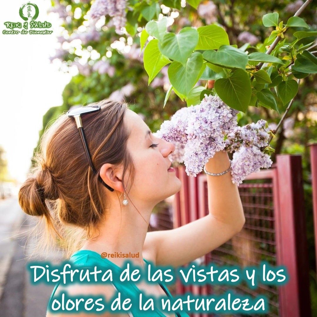 Disfrutar de las vistas y los olores de la naturaleza, puede beneficiar su mente, cuerpo y alma.¡El verano está en pleno apogeo, lo que significa que es el momento perfecto para un baño en la naturaleza. Pasar tiempo en la naturaleza puede hacer maravillas para el bienestar mental.Salir y respirar aire fresco puede ayudarte a relajar tu mente durante los momentos de estrés.La próxima vez que te sientas abrumado, haz un viaje a un parque, sendero o área boscosa local y concéntrate en todas las vistas, olores y sonidos del mundo que lo rodea.Al prestar atención al sonido del viento, el calor del sol, el olor del follaje, poco a poco comenzará a liberar su estrés y lo reemplazará con la belleza inherente del aire libre.Cualquier día, es bueno para descansar de la presión y el ritmo de un día ajetreado y disfrutar de la tranquilidad de la naturaleza.Estar al aire libre puede mejorar su estado de ánimo e incluso ayudar a poner las cosas en perspectiva. Los estudios revelan que pasar tiempo en la naturaleza puede reducir el cortisol, una hormona del estrés, y tener un efecto positivo en la presión arterial, la frecuencia cardíaca y la tensión muscular.Esta semana, encuentra la felicidad y la relajación pasando tiempo al aire libre. Trae un libro, algo de música o un refrigerio y disfruta del entorno.️Feliz viaje de autodescubrimiento.Gracias, gracias, gracias, un abrazo de luz, Námaste, @dinopierini🌍Página WEB: www.gReiki.com#reiki #reikiusui #reikivenezuela #reikimaracaibo #reikizulia