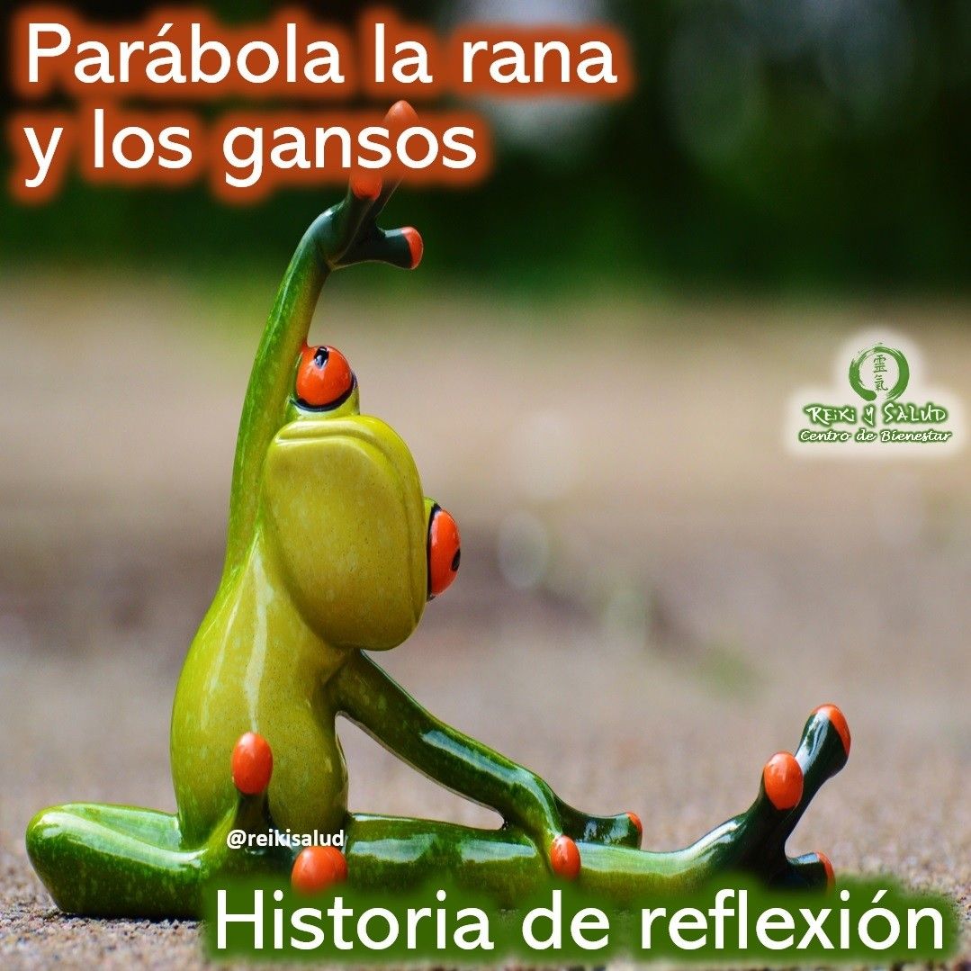 Parábola la rana y los gansos.Una rana se preguntaba como podía alejarse del clima frío invierno. Unos gansos le sugirieron que migrará al sur con ellos. Pero había un problema, la rana no sabía volar.-----Déjenmelo a mi -- dijo la rana -- Tengo un cerebro espléndido.En eso pidió a dos gansos que la ayudaran a recoger una caña fuerte, cada una sosteniéndola de cada extremo. La rana pensaba sostenerse de la caña con la boca.A su debido tiempo, los gansos y la rana empezaron su travesía. Al poco rato pasaron por una pequeña ciudad, y los habitantes de ahí salieron para ver aquel espectáculo.----¿A quien se le ocurrió tan brillante idea ?? ----Esto hizo que la rana se sintiese muy orgullosa y con tal sentido de importancia, que exclamó:----/¡¡¡A MII !!!!! ----Los gansos, gritaron, rana no abras la boca, pero ya era tarde, pues, se soltó la caña, cayó al vacío.️Feliz viaje de autodescubrimiento y despertar.Casa Gendai Reiki Ho, una caricia para el alma, ampliando el circulo de luz, promoviendo una vida de salud y felicidad.Gracias, gracias, gracias, Námaste, @dinopieriniSi te gusta la publicación Compártela, Etiqueta a Otros, Gracias, gracias gracias🌐Página WEB: www.gReiki.com#espiritualidad #amor #felicidad #abundancia #meditacion #vida #paz #love #luz #gratitud #crecimientopersonal #consciencia #bienestar #inspiracion #despertar #despertarespiritual #cursosreiki #tallerreiki #talleresenmaracaibo #cursosenmaracaibo