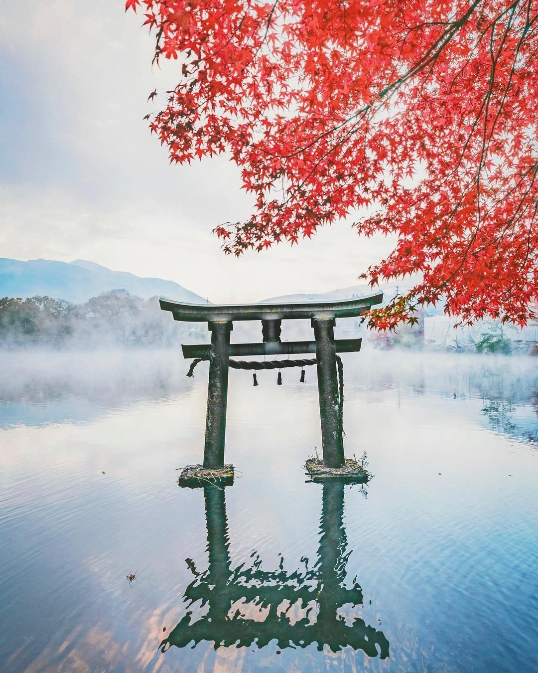 ¿Puedes creer lo que ven tus ojos? ⛩️😯La Puerta Torii del Templo Bussanji, que descansa sobre el lago Kinrin en la prefectura de Oita, parece flotar suavemente en la niebla matutina de otoño e invierno (alrededor de septiembre a febrero).Estas brumas matutinas añaden una atmósfera mítica a la belleza tradicional de las hojas rojas de arce.¡Que espectacular vista!¿Qué sitio de Japón te gustaría visitar?Feliz viaje de autodescubrimiento y despertar.Gracias, Gracias, Gracias, Gassho, @dinopierini#reikivenezuela #reikizulia #reikimaracaibo #japon #sabiduriajaponesa