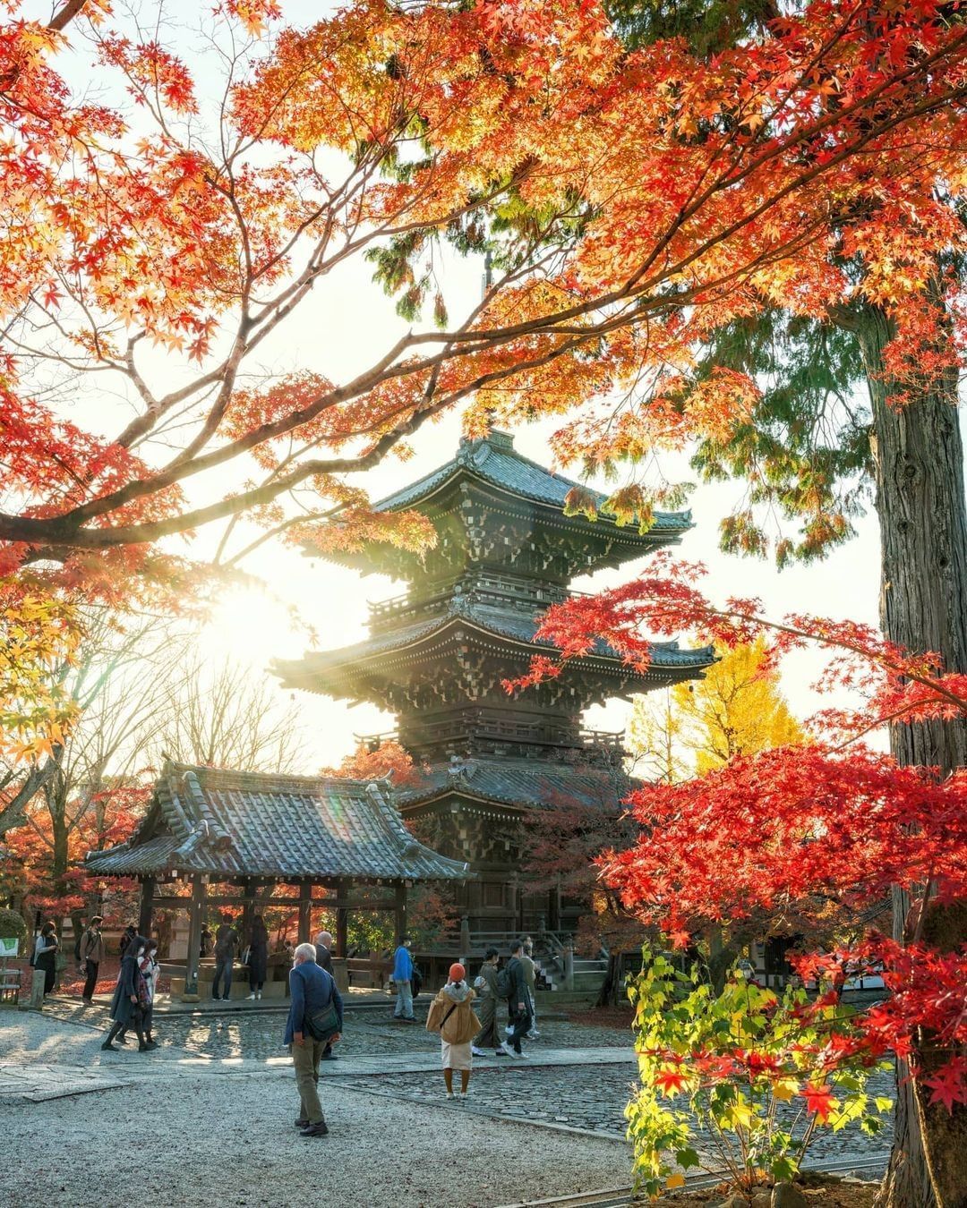 Llegó el otoño ¿Cuál es tu estación favorita?.Los colores del otoño son también espectaculares, con muchos días soleados, temperaturas agradables y vistas impresionantes,.Es una de las mejores temporadas para viaja a Japon Pagoda en Kyoto, Japón, 📸: @arasi62¡Que espectacular vista!¿Qué sitio de Japón te gustaría visitar?Feliz viaje de autodescubrimiento y despertar.Gracias, Gracias, Gracias, Gassho, @dinopierini#reikivenezuela #reikizulia #reikimaracaibo #japon #sabiduriajaponesa