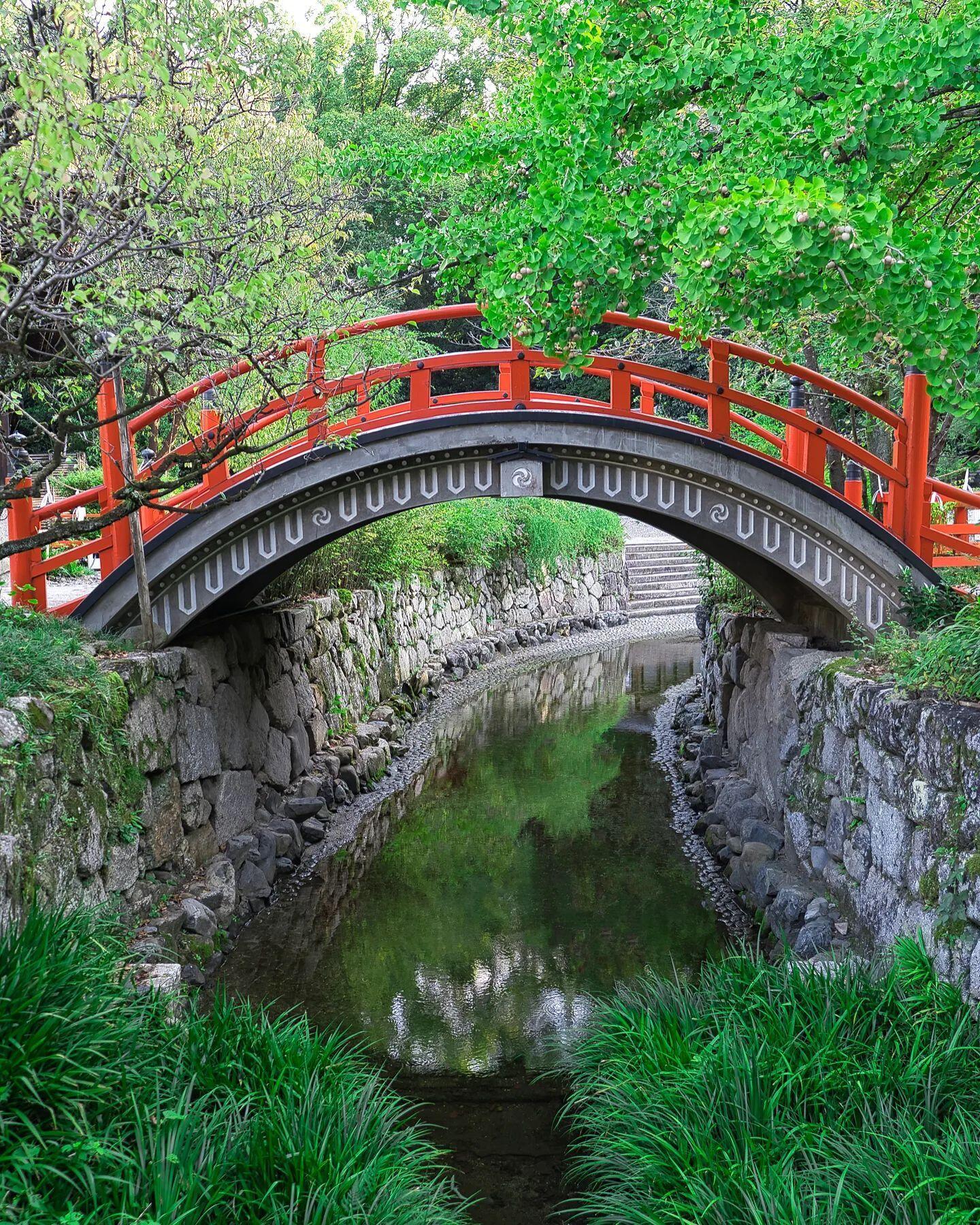 Puente en el Santuario Shimogamo (下鴨神社 Shimogamo-jinja?), ubicado en un importante santuario sintoísta que se encuentra en el distrito Shimogamo, dentro del Sakyo-ku de Kioto.Los puentes unen, conectan, permiten, dejan fluir.¿Qué puentes necesitas en tu vida? ¿Qué te impide construirlos?¿Qué sitio de Japón te gustaría visitar?️ Feliz viaje de autodescubrimiento y despertarCasa Reiki y Salud, una caricia para el alma, ampliando el circulo de luz, promoviendo una vida de felicidad y bienestar.Gracias, gracias, gracias, Gassho, @dinopierini🌐Página WEB: www.gReiki.com#consciencia #alma #bienestar #inspiracion #despertar #despertarespiritual #reikimaracaibo #reikivenezuela #reikizulia #reikisalud #Ujibashi #japan #japon #kyoto #japanesegarden#shimogamoshrine #japanesegarden #kyotojapan #japaneseshrine #kyototravel