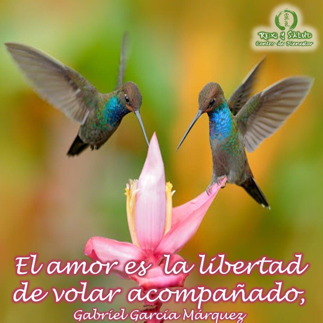 El amor es la libertad de volar acompañado, Gabriel Garcia Márquez.️ Feliz viaje de auto descubrimiento y despertar.Desde Casa Reiki y Salud, les deseamos a todos, Feliz Día del Amor y la Amistad, que el amor siempre nos acompañe.Gracias, gracias, gracias, Namasté, @dinopierini#espiritualidad #amor #felicidad #abundancia #vida #paz #frases #love #luz #gratitud #crecimientopersonal #consciencia #alma #bienestar #inspiracion #despertar #reflexiones #despertarespiritual #reiki #dinopierini