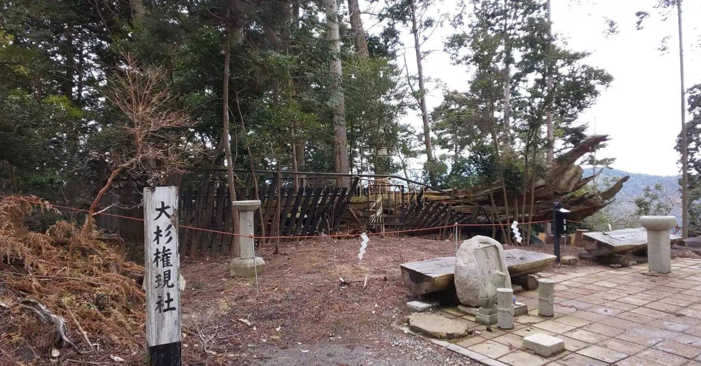 Buenos días. Estas fotos están llegando del Monte Kurama casi en tiempo real desde donde Usui Sensei estuvo meditando durante 21 días del ayuno.Fotos tomadas Hoy en Japón Yukinori Taguchi y Akiko Masuda. El lugar es llamado Osugigongen. Este área quedó muy dañado por un tifón en 2017. Debido a eso, el cedro sagrado y la caseta en donde estaba guardado el espíritu de este cedro fueron destruidos y ya no están allí.Gracias a Taguchi san y Akiko san por la fotos: y RIka san, por compartirlas.Gracias gracias gracias sensei Mikao Usui por su legado y todos los practicantes de Reiki en el mundo.Gracias, gracias, gracias, Namaste, @dinopierini#reiki #reikivenezuela #cunareiki #montekurama #kuramayama #miakousui