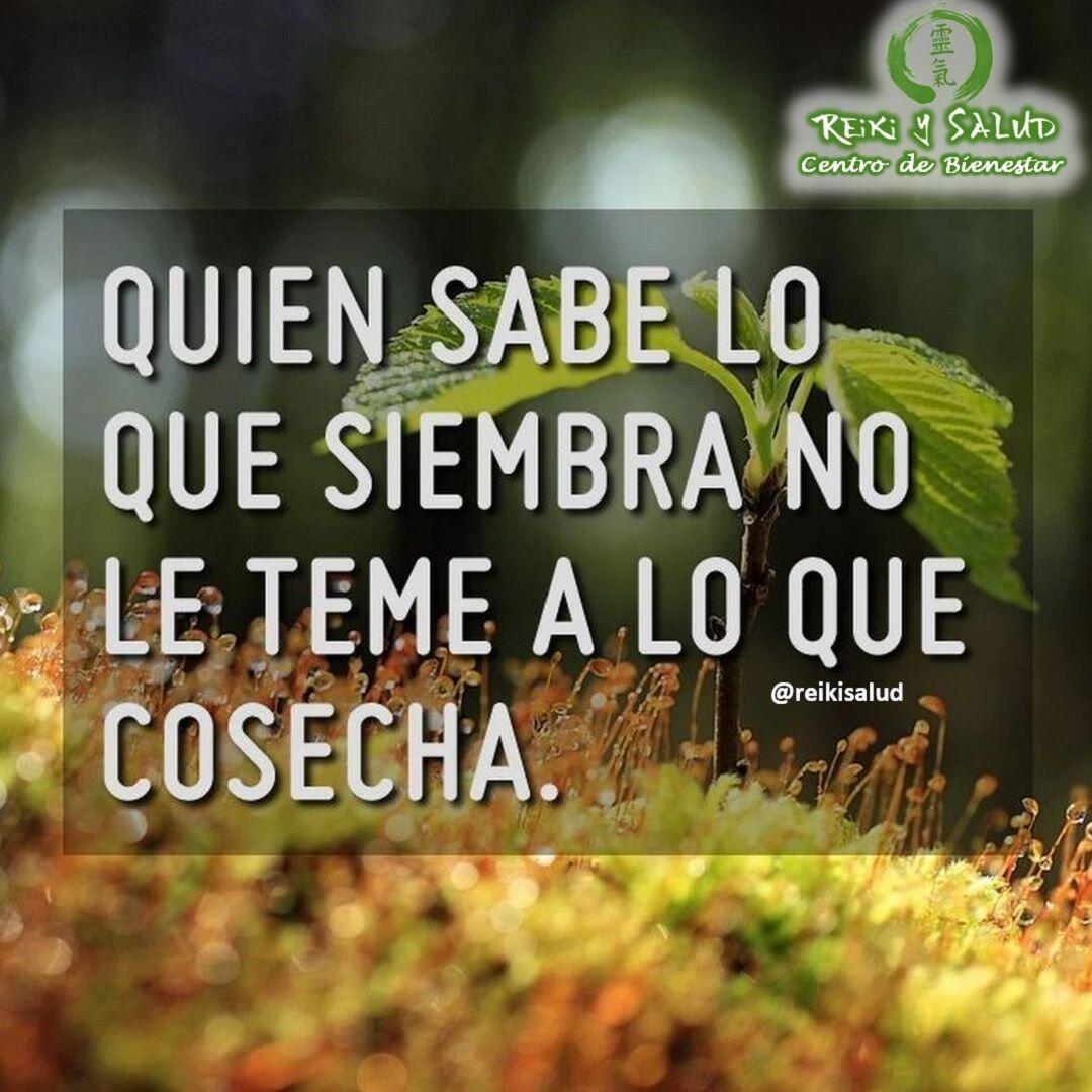 Quien sabe lo que siembra no le teme a lo que cosecha.¿Qué piensas de esta declaración? ¿Qué estas cosechando?¿Lo que estas cosechando esta alineado con lo sembrado?Feliz viaje de autodescubrimiento y despertar.Casa Reiki y Salud, una caricia para el alma, ampliando el circulo de luz, promoviendo una vida de felicidad y bienestar.Gracias, gracias, gracias, Námaste, @dinopierini#reiki #reikimaracaibo #reikivenezuela #sanación #salud #reikisalud