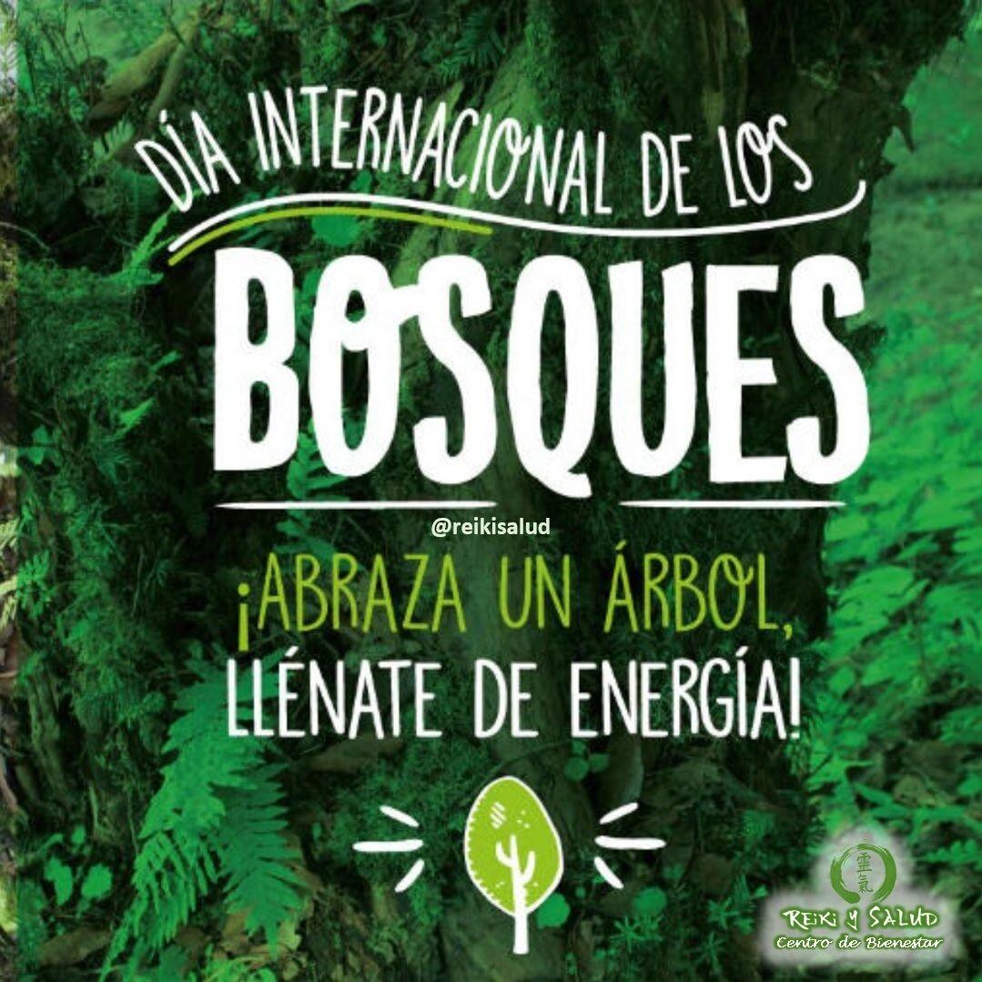 Abraza un árbol, llénate de Energía. Hoy día internacional de los Bosques.Investiga, explora, maravíllate y aprende sobre los bosques. Los bosques son parte de tu vida en más formas de las que crees. Cuando bebemos un vaso de agua, escribimos en un cuaderno, tomamos algún tipo de medicamento o construimos una casa, no siempre relacionamos estas acciones con los bosques. Sin embargo, estos y muchos otros aspectos de nuestras vidas están vinculados a los bosques de una manera u otra.Mensajes para compartir: Conocer nuestros bosques y mantenerlos sanos es fundamental para el futuro. Los bosques serán más importantes que nunca a medida que la población mundial aumente hasta los 8500 millones de personas para 2030. Nunca se es demasiado joven para empezar a aprender sobre los árboles. Enseñar a los niños a establecer contacto directo con la naturaleza ayuda a que las futuras generaciones sean conscientes de los beneficios que brindan los árboles y los bosques, y de la necesidad de gestionarlos de manera sostenible. Tanto el conocimiento moderno como el tradicional son esenciales para mantener los bosques sanos. Además de conocer y comprender la naturaleza, las personas que trabajan en los bosques deben aprender a utilizar la tecnología para garantizar que nuestros bosques sean vigilados y administrados de forma sostenible. Invirtiendo en la educación forestal se puede lograr un mundo mejor. Debemos promover la colaboración entre científicos, políticos, agentes forestales y comunidades para que trabajen juntos en la lucha contra la deforestación y hacia la restauración de los paisajes degradados.Enviemos luz reiki al planeta. Gracias, gracias, gracias, por ser una sociedad que cuida y ama su medio ambiente, Námaste🌍Página WEB: www.gReiki.com#espiritualidad #amor #felicidad #abundancia #meditacion #vida #paz #frases #love #luz #gratitud #consciencia #bienestar #inspiracion #despertar #reiki #reikusui #espiritual #diadelosbosques #bosques