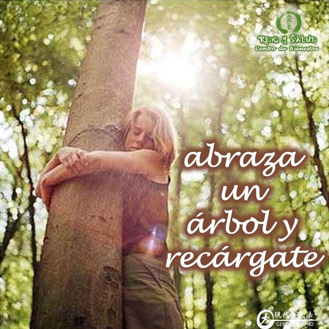 🌳 Si alguna vez te encuentras agotado, enfadado o tenso, busca y abraza un árbol. 🌲 Elige uno que te atraiga, que sientas su energía, que transmita solidez, un roble o un pino y abrázalo manteniendo tu espalda recta contra el tronco. Puedes también apoyar tu espalda recta sobre el árbol, sin dañarlo claro. Te recomiendo siempre descalzarse e incorpora también las sensaciones tan poderosas de sentir el contacto con la tierra madre, su frescura, humedad, energía, confianza y protección. Cierra los ojos y comienza a prestar atención a la respiración y relájate. Te darás cuenta como se produce un cambio lento, desapareciendo tu tensión, enfado o agotamiento para ser reemplazado por un creciente calor, una sensación de amor y consuelo. Esta sensación viene del árbol, y de la tierra, acéptala con alegría, quedándote allí hasta sentirte completamente renovado. Si no tienes un árbol cerca, pero si un jardín, puedes hacer lo mismo, acercándote al jardín o sentándote cerca del él, tomando contacto con la tierra y siendo consciente de toda la naturaleza y energía presente. A continuación, y antes de partir, agradece al árbol, por lo que has recibido. Contempla todo lo que te rodea, huele la tierra, los árboles y las hojas. Absorbe sus energías y trasmítele las tuyas. Demuestra tu amor y respeto por la naturaleza y vive con ella.️ Feliz viaje de auto descubrimiento y despertarCasa Reiki y Salud, una caricia para el alma, ampliando el circulo de luz, promoviendo una vida de salud y felicidad.Gracias, gracias, gracias, Námaste, @dinopierini️ Comparte esta publicación con quien te vino a la mente cuando la leíste., Gracias, gracias gracias🌐 Página WEB: www.gReiki.com#amor #felicidad #abundancia #meditacion #vida #paz #frases #gratitud #consciencia #alma #bienestar #inspiracion #despertar #reikimaracaibo #reikizulia #reikivenezuela #reikisalud #totalcoherencia #reikisalud #smile #sonreir