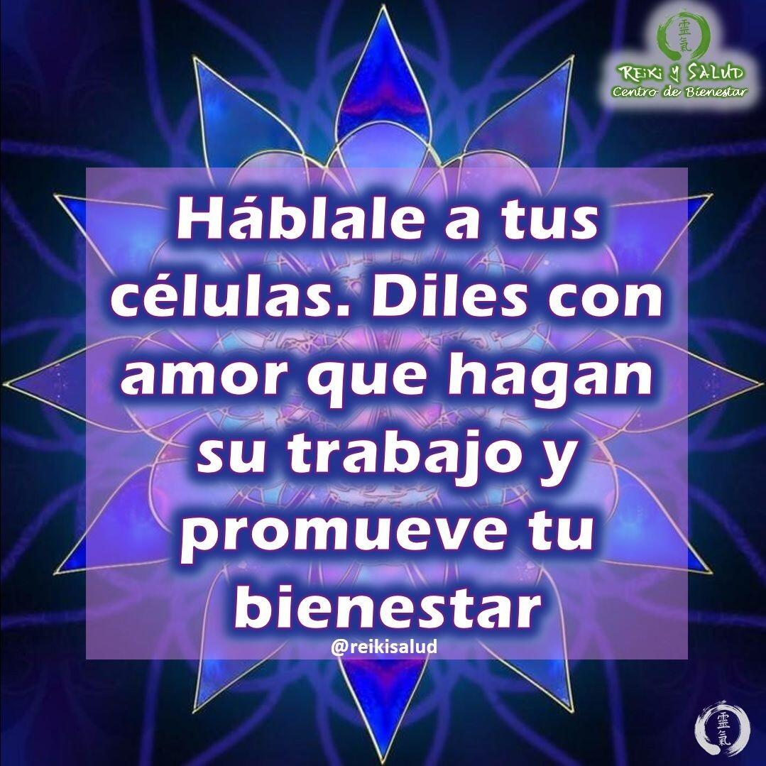 Háblale a tus células. Diles con amor que hagan su trabajo y promueve tu bienestar.Cuando sientas que tienes alguna dolencia, háblale a tus células con profundo amor y agradecimiento y pídeles que hagan su trabajo y que restauren su función a nivel óptimo.La clave está en la emoción del amor y agradecimiento.Puedes decirles en meditación, algo como, enfocándote en una sola célula u órgano: “Amadas células, siento haberlas impactado con mis emociones, vuelvan a su centro y recobren la más alta perfección. Les ordeno reproducirse y dividirse, utilizando la matriz perfecta original, la más alta perfección, soy un ser perfecto de la creación, razón por la cual las invito a recuperar su función ideal. Las amo y les agradezco me hayan permitido estar aquí y ahora, en este momento de mi vida, reciban mi amor y gratitud.”. Mientras lo hacemos las visualizamos iluminadas por la energía del creador. Utiliza tus propias palabras, que vibren contigo.Tus células recibirán tu mensaje, arropadas por la vibración del amor y agradecimiento, y te responderán promoviendo tu sanación. Si lo haces utilizando las técnicas de REIKI HO, mucho mejor. Recuerda que el universo no entiende de palabras, entiende de emociones y vibración.Mientras le hablas a tus células, siente que se están sanando, y que te encuentran en perfecto estado y que todo tu cuerpo recupera su armonía. Mantén estas conversaciones hasta que hayas sanado.Con toda la certeza que, si lo CREES, lo CREAS, compartimos desde Casa Gendai Reiki Ho, un abrazo de luz, con la confianza de que Dios está con nosotros y somos uno con la conciencia universal.Quiero invitarte a mejorar tu conexión con la energía de la más alta vibración, de la más alta dimensión, de la energía más pura del universo, aprendiendo Usui Reiki Ho. Ya iniciamos los cursos semipresencial, asi que si estas interesado o interesada contactamos.Gracias, gracias, gracias, Námaste, @dinopierini #amor #felicidad #abundancia #meditacion #vida #paz #luz #gratitud #bienestar #reikivenezuela #reikimaracaibo #reikizulia #saludybienestar #reiki #sanacion #reikisalud