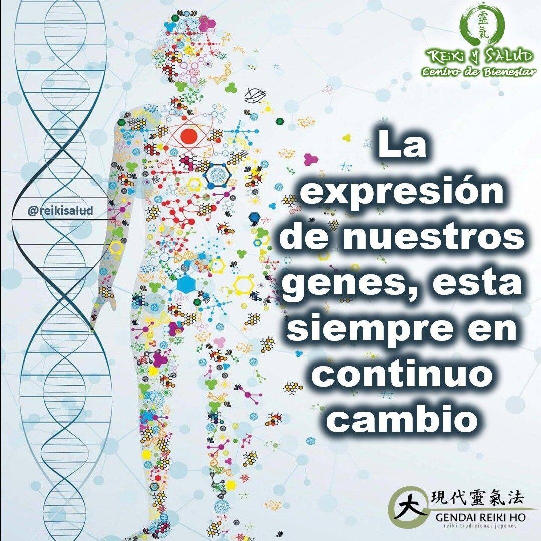 La expresión de nuestros genes, esta siempre en continuo cambio y transformación, estés o no consciente de ello.. Cada célula de nuestro cuerpo esta siendo transformada, dependiendo de lo que pensamos, decimos, imaginamos, sentimos, y nuestro ambiente en general..🗨️ Nos han hecho creer que nuestra biología y enfermedades, es solo el resultado de nuestra genética.. La verdad es mas sorprendente, emocionante y comprometedora,. Por supuesto que hay aspectos de nuestra biología directamente relacionadas con los genes, sin embargo la forma en que nuestros genes se expresan en nuestra biología, depende de como percibimos el mundo a nivel mental, emocional y físico..️ La afirmación anterior es una poderosa declaración, ya que está basada en hechos científicos comprobables. Estudios sobre la neurociencias y epigenética, demuestran que son las percepciones y creencias las que determinan la biología de un organismo, y no los genes como postulaba el determinismo genético.. Las creencias y nuestra respuesta y como afectan nuestra percepción del mundo que me rodea, la que determina nuestra respuesta biológica y son responsables de nuestro estado de bienestar o de malestar.. Vivir en #totalcoherencia promueve en nuestro cuerpo su capacidad natural de volver al estado de #homeostasis o estado de salud..️ Por eso es tan importante mantenernos en coherencia. En estado de coherencia puedes alterar para bien la respuesta de tus genes, de tu sistema inmune, endocrino y hormonal, para mantenerte sano o sanar..¿Estas viviendo actualmente en estado de totalcoherencia? ¿Que cambios necesitas hacer en tu vida, para ayudar a tu cuerpo a sanar?.Con toda la certeza que, si lo CREES, lo CREAS, compartimos desde Casa Reiki y Salud, un abrazo de luz, con la confianza de que Dios está con nosotros y somos uno con la conciencia universal, y recuerda: ¡a sonreír, agradecer y abrazar tu vida!.Gracias, gracias, gracias, un gran abrazo de luz, Namaste, @DinoPierini.🌍WEB: www.gReiki.com.#meditacion #gratitud #bienestar #reiki #gendaireiki #coherenciacardiaca #coherenciacerebrocorazon #reikimaracaibo #reikizulia #reikivenezuela #totalcoherencia