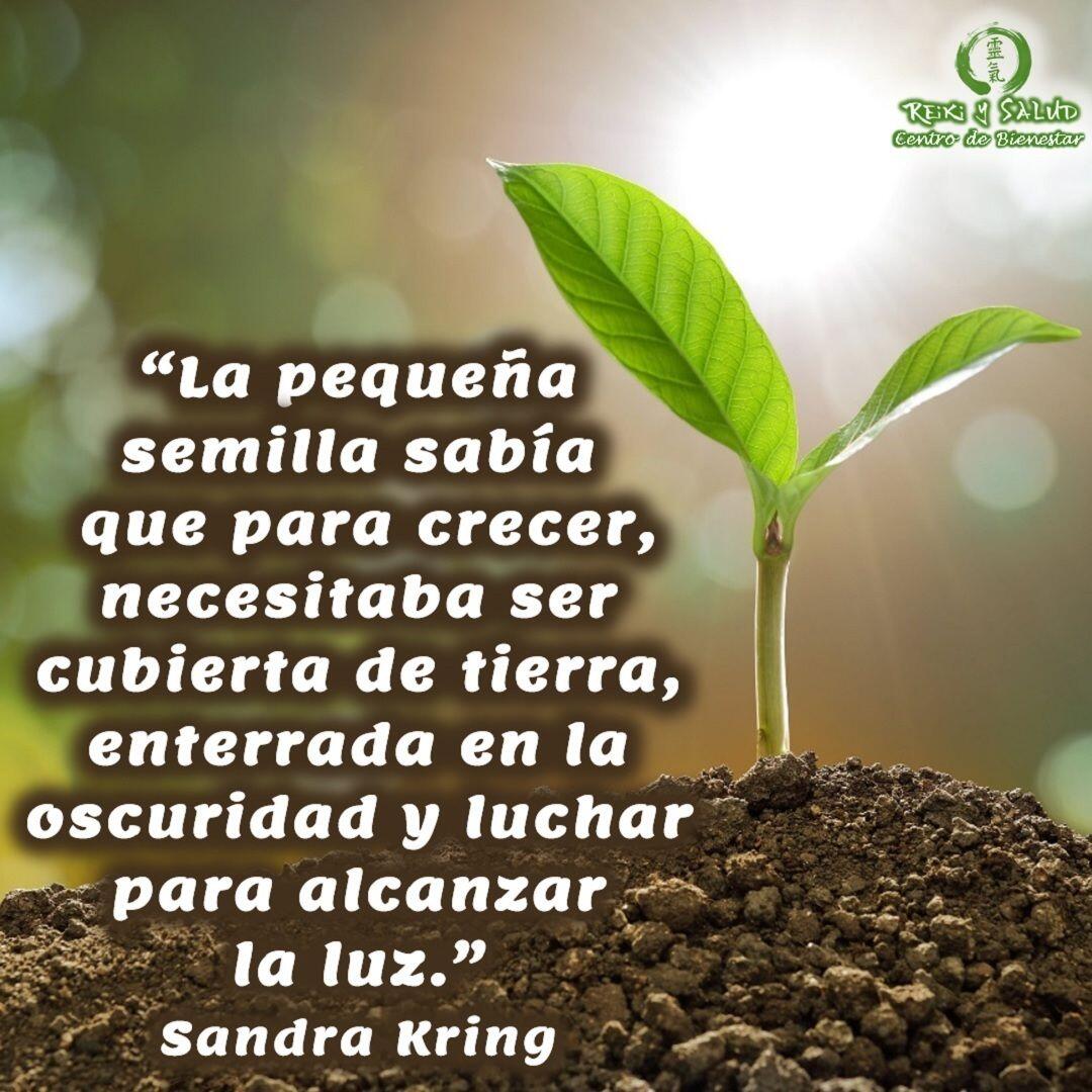 “La pequeña semilla sabía que para crecer, necesitaba ser cubierta de tierra, enterrada en la oscuridad y luchar para alcanzar la luz.”, Sandra KringFeliz viaje de autodescubrimiento y despertar.Gracias, Gracias, Gracias, un abrazo de luz, Namaste, @DinoPierini#cursosmaracaibo #talleresmaracaibo #reiki #reikimaracaibo #reikivenezuela #gendaireikiho #shoden #reikiusui #paz #gratitud #reikisalud #reikizulia