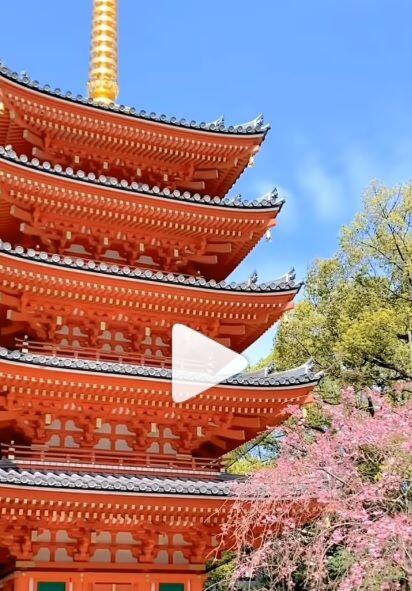 Tocho ji 東長寺 en primavera Tōchō-ji (東長寺) en primavera. Es un templo Shingon en Hakata, Fukuoka, Japón. Su prefijo sangō honorario es Nangakuzan (南岳山). Fue fundado por Kūkai en 806, lo que lo convierte en el templo Shingon más antiguo de Kyushu