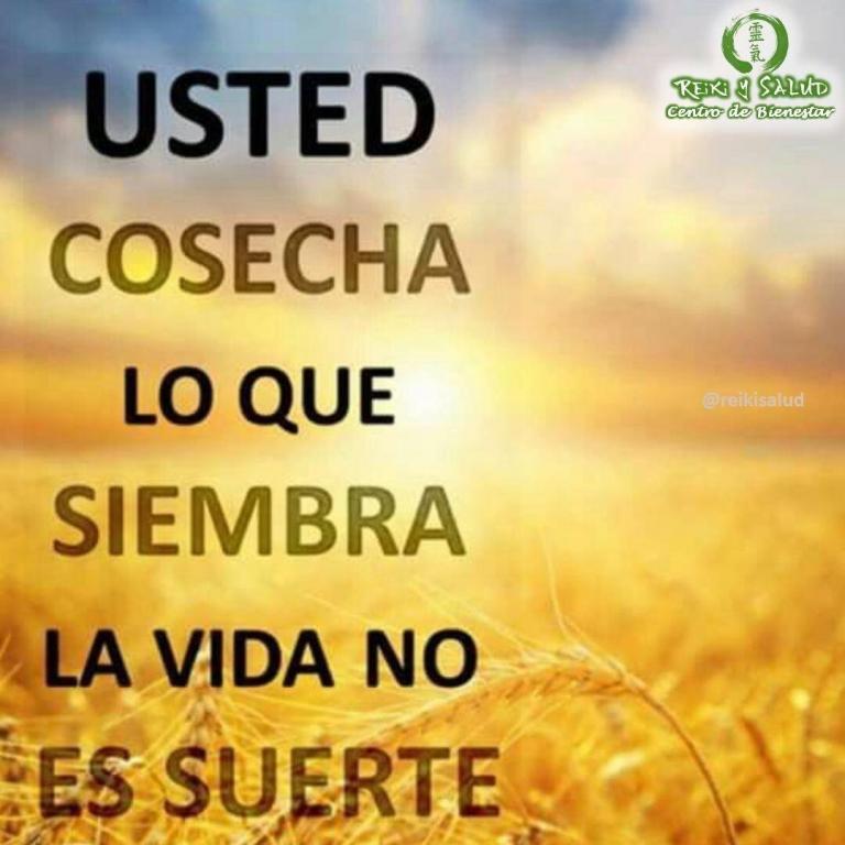 Usted cosecha lo que siembra. La vida no es suerte. No esperes manzanas si sembraste…