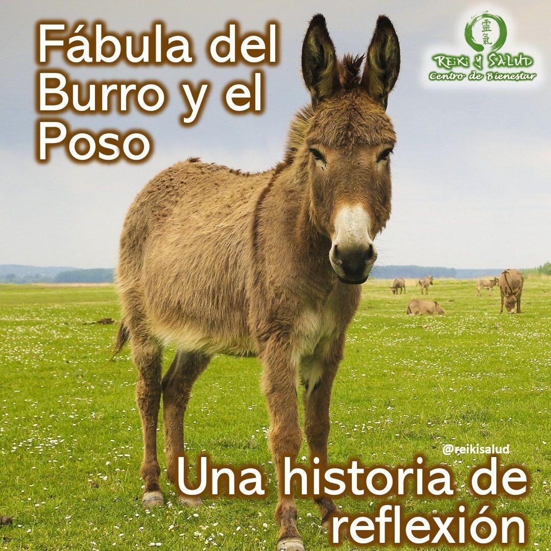 𝐅á𝐛𝐮𝐥𝐚 𝐝𝐞𝐥 𝐁𝐔𝐑𝐑𝐎 𝐲 𝐞𝐥 𝐏𝐎𝐒𝐎. Un día el burro de un campesino se cayo en un pozo.⠀El animal se quejó por horas, mientras el campesino trataba de buscar algo que hacer.⠀Finalmente, el campesino decidió que el burro ya estaba viejo y el pozo ya estaba seco y necesitaba ser tapado de todas formas; que realmente no valía la pena sacar al burro del pozo.⠀Invitó a sus vecinos para que vinieran a ayudarle.⠀Cada uno agarró una pala y empezaron a tirarle tierra al pozo.⠀El burro se dio cuenta de lo que estaba pasando pero no se dió por vencido.⠀Después de un rato ya no lo escucharon más, así que pensaron que ya lo había cubierto la tierra y había muerto.⠀Pero cuando el pozo ya casi estaba lleno de tierra, asomó la cabeza del burro.⠀Todo el mundo vio sorprendido cómo el burro llegó hasta la boca del pozo, pasó por encima del borde y salió trotando.⠀Pasó que con cada palada, el burro se sacudía la tierra y daba un paso para salir del pozo.⠀El truco para salir del pozo es sacudírsela y usarla para dar un paso hacia arriba.⠀️ Feliz viaje de auto descubrimiento y despertar⠀Casa Reiki y Salud, una caricia para el alma, ampliando el circulo de luz, promoviendo una vida de salud y felicidad.⠀Gracias, gracias, gracias, Námaste, @dinopierini⠀🌐 Página WEB: www.gReiki.com⠀#amor #felicidad #abundancia #meditacion #vida #paz #frases #gratitud #consciencia #alma #bienestar #inspiracion #despertar #reikimaracaibo #reikizulia #reikivenezuela #reikisalud #totalcoherencia #reikisalud #smile #sonrie