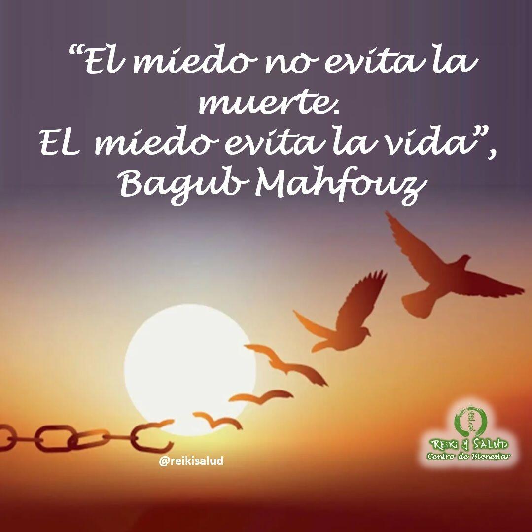 “El miedo no evita la muerte. El miedo evita la vida”, Nagub Mahfouz.Por consiguiente, acepto la confusión, la incertidumbre, el miedo y los altibajos emocionales, porque ése es el precio que estoy dispuesto a pagar por una vida fluida, perpleja y excitante. Carl Rogers. Psicología humanistaEntiendo que nos conectamos con el miedo cuando, nos conectamos con situaciones donde conectados a nuestros valores, creemos que podemos perder alto, entrar en sufrimiento, dolor o hacercarnos a la muerte, sin embargo no es saludable vivir desde miedo.Así que reconoce tus miedos, abrázalos y luego invítalos que si quieren que te acompañen pero a vivir, vivir, vivir.No dejen que tus miedos, te desconecten de tus fuentes de Ikigai, de tus fuentes que nutren tus deseos de vivir a plenitud.️Feliz viaje de autodescubrimiento y despertar️Practica las meditaciones de Reiki Ho, y te ayudarán a armonizar tu ser, en todos los planos, físico, mental, emocional y alma; promoviendo a consecuencia de ponernos en orden, un estado ideal para sanarnos; permitiendo que la energía divina, nos de lo que más necesitemos.El sistema Reiki Ho, define un camino de vida, siendo también un sistema completo, con técnicas de meditación, armonización, purificación y canalización de la energía de la creación, utilizando nuestro cuerpo, manos, mirada y aliento.Casa Reiki y Salud, comparte las técnicas de la Gendai Reiki Healing Association de Japón, con el respaldo internacional de la Gendai Reiki Network. Cursos dictados por Dino Pierini (@DinoPierini), Shihan de la escuela Gendai Reiki Ho desde el año 2008 y miembro de la Gendai Reiki Healing Association en Japón.Gracias, gracias, gracias, Námaste, @dinopieriniSi te gusta la publicación Compártela, Etiqueta a Otros, Gracias, gracias gracias🌐Página WEB: www.gReiki.com#felicidad #abundancia #meditacion #vida #gratitud #reikimaracaibo #reikizulia #reikivenezuela #saludybienestar #reikisalud #reiki @reikisalud #louisehay