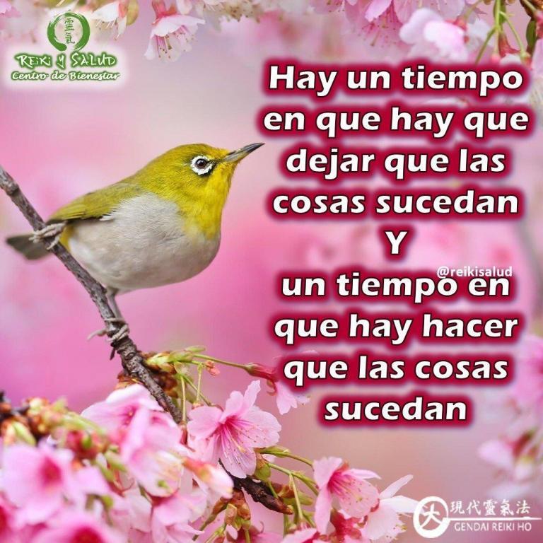 Hay un tiempo en que hay que dejar que las cosas sucedan y un tiempo…