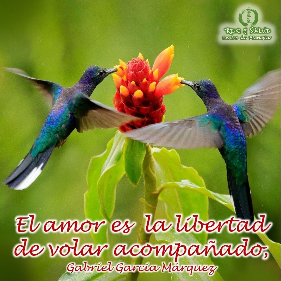 El amor es la libertad de volar acompañado, Gabriel Garcia Márquez.️ Feliz viaje de auto descubrimiento y despertar.Desde Casa Reiki y Salud, les deseamos a todos, Feliz Día del Amor y la Amistad, que el amor siempre nos acompañe.Gracias, gracias, gracias, Namaste, @dinopierini🌐 Página WEB: www.gReiki.com#despertar #reikimaracaibo #reikizulia #reikivenezuela #reikisalud #totalcoherencia #reikisalud #smile #bienestar #reiki @magdamora