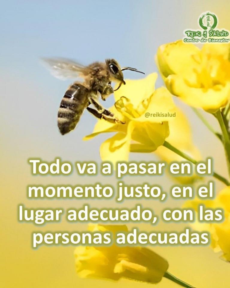 Todo va a pasar en el momento justo, en el lugar adecuado, con las personas…
