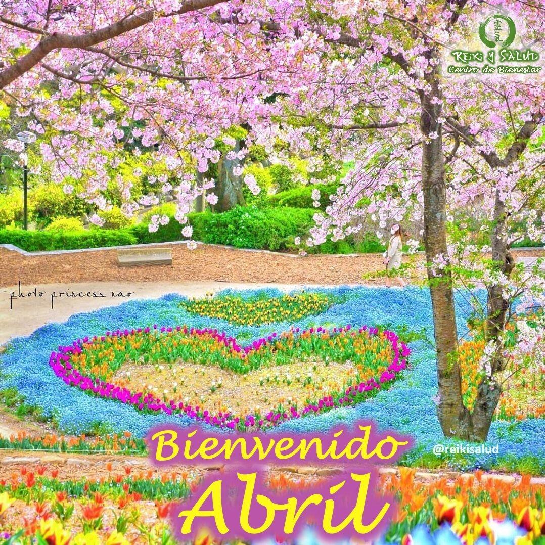 🌞Bienvenido Abril, trayendo para todos armonía, paz, salud y evolución.Bienvenidos el tiempo de la primavera y renacimiento, para nuestra pachamama y humanidad.Con toda la certeza que, si lo CREES, lo CREAS, compartimos desde Casa Gendai Reiki Ho, un abrazo de luz, con la confianza de que Dios está con nosotros y somos uno con la conciencia universal.Quiero invitarte a mejorar tu conexión con la energía de la más alta vibración, de la más alta dimensión, de la energía más pura del universo; permitiendo que la energía de la creación, nos de lo que más necesitemos, promoviendo en nuestras vidas, salud y felicidad.Para todos aquellos que quieran iniciar este viaje de aprendizaje y despertar, los invitamos a contactarnos o registrarse en el próximo Curso Gendai Reiki Ho, Nivel Shoden (Nivel I – El despertar) que se iniciará el 22 de Abril del 2023. Visita nuestra página www.gReiki.com/Registro o utilizando el enlace de nuestro perfil.️ Casa Reiki y Salud, una caricia para el alma, ampliando el circulo de luz, promoviendo una vida de salud y felicidad.Gracias, Gracias, Gracias, Námaste, @dinopieriniGracias, gracias, gracias, Namaste, @dinopierini️ Comparte esta publicación con quien te vino a la mente cuando la leíste., Gracias, gracias gracias🌐 Página WEB: www.gReiki.com#despertar #reikimaracaibo #reikizulia #reikivenezuela #reikisalud #totalcoherencia #reikisalud #smile #bienestar #reiki