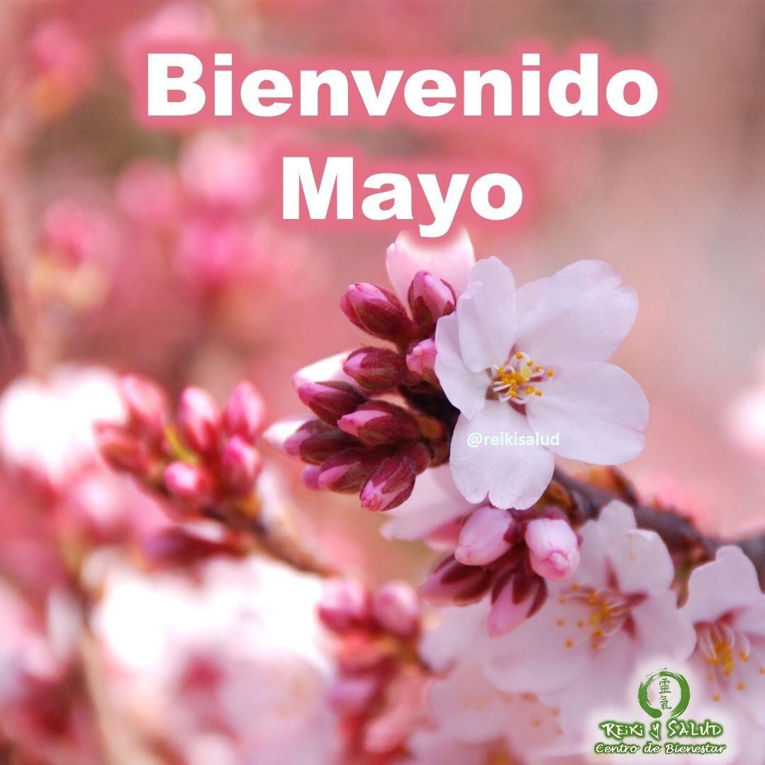 🌞Bienvenido MAYO, trayendo consigo más abundancia y prosperidad para todos, reforzando nuestro camino de paz y plenitud.Bienvenidos el tiempo de la primavera y renacimiento, para nuestra pachamama y humanidad.Con toda la certeza que, si lo CREES, lo CREAS, compartimos desde Casa Gendai Reiki Ho, un abrazo de luz, con la confianza de que Dios está con nosotros y somos uno con la conciencia universal.Quiero invitarte a mejorar tu conexión con la energía de la más alta vibración, de la más alta dimensión, de la energía más pura del universo; permitiendo que la energía de la creación, nos de lo que más necesitemos, promoviendo en nuestras vidas, salud y felicidad.️ Casa Reiki y Salud, una caricia para el alma, ampliando el circulo de luz, promoviendo una vida de salud y felicidad.Gracias, Gracias, Gracias, Námaste, @dinopierini#reiki#reikimaracaibo#reikivenezuela#sanación#salud#reikiusui#gendaireiki#gendaireikiho#usuireiki#usuireikiho#usuireikiryoho#reikigendai#mikaousui#reikisalud#totalcoherencia#koryukai#encuentrosreiki