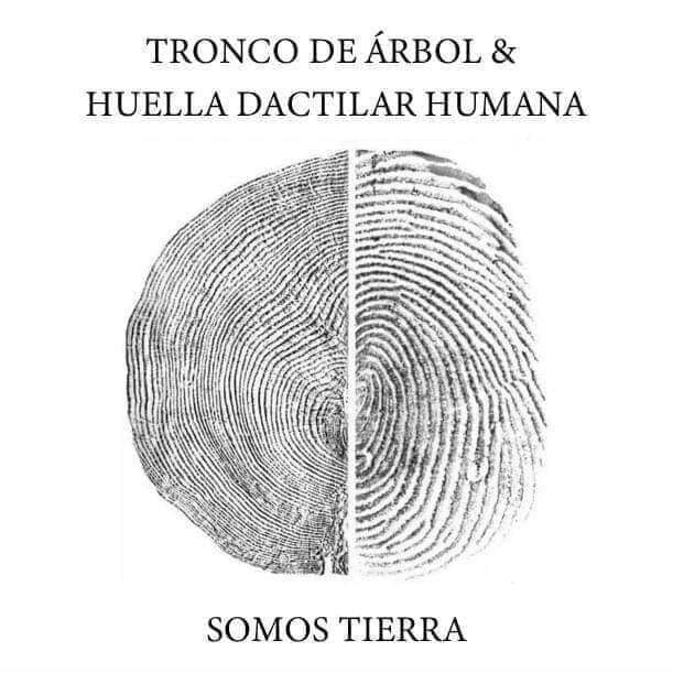 Observa la similitud, y acepta lo evidente. Somos uno con la tierra.El hombre pertenece a la tierra, No la tierra al hombre.No por casualidad, cuando abrazamos un arból nos recargamos de una manera especial.️ Feliz viaje de auto descubrimiento y despertar.Gracias, gracias, gracias, Namaste, @dinopierini🌐 Página WEB: www.gReiki.com#despertar #reikimaracaibo #reikizulia #reikivenezuela #reikisalud