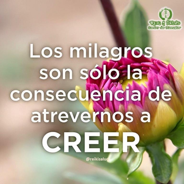 Los milagros son sólo la consecuencia de atrevernos a creer. Nos han programado que es…