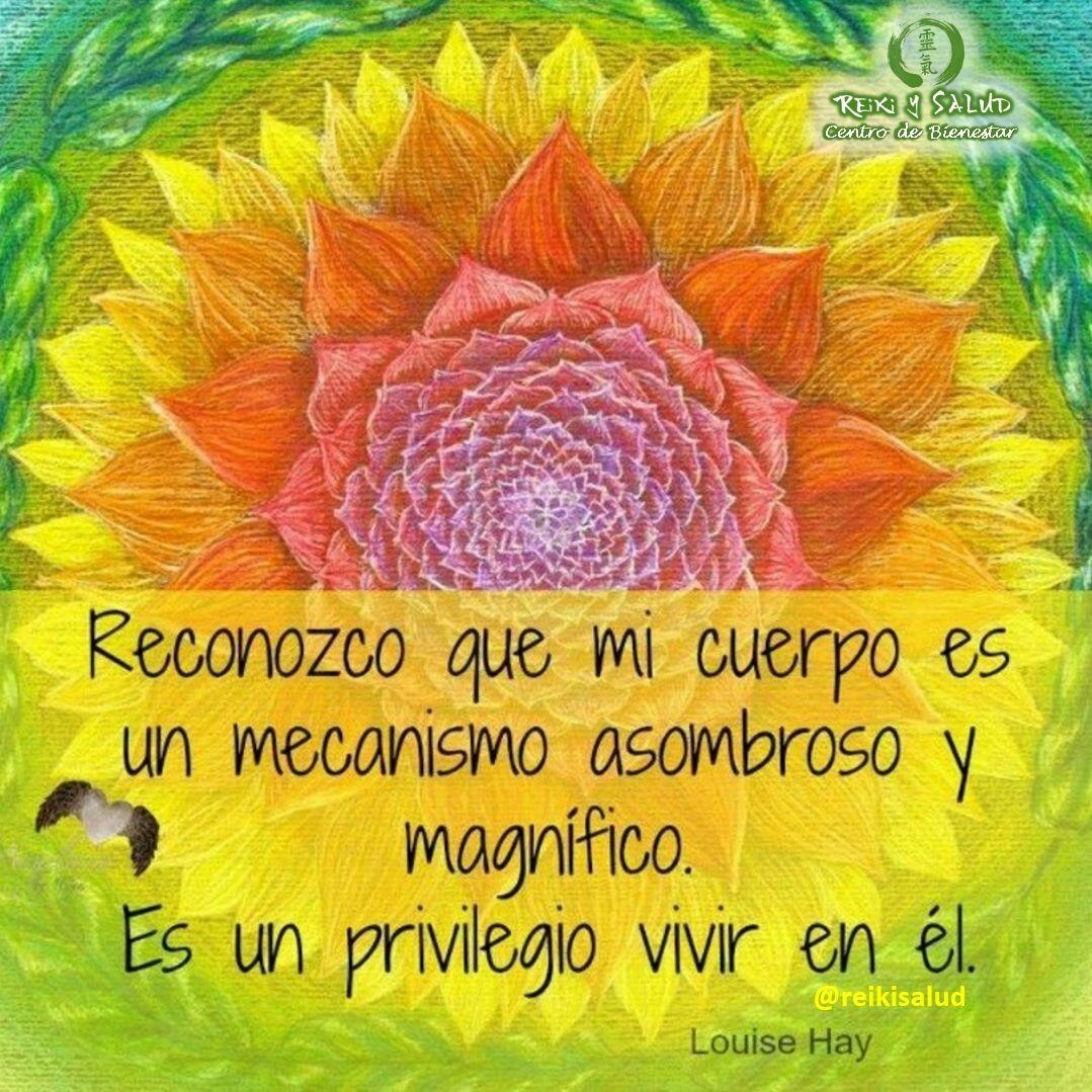 Reconozco que mi cuerpo es un mecanismo asombroso y magnifico. Es un privilegio vivir en él. Luise Hay.Sabes que tu cuerpo sabe de forma perfecta recuperar siempre su estado de balance, solo que a veces no lo dejamos. Este es uno de los grandes misterios de la vida, porque a veces si no lo logramos en armonía, lo logramos en la enfermedad.Si estendemos ¿para que? el cuerpo hizo, lo que hizo, podremos sanar mas rápido, permitiendo que el cuerpo haga lo que sabe hacer de forma perfecta SANAR.¿Que crees de esta declaración? ¿Se alinea o se contradice con tus creencias?Otro bello regalo de Louise Hay.Todo pensamiento y palabra que pronuncias es una afirmación. Todas las conversaciones que tienes contigo mismo son un flujo de afirmaciones.Tus creencias no son más que patrones de pensamiento habituales que aprendiste de niño. Muchos de ellos son muy útiles. Sin embargo, otras creencias pueden resultar limitadoras.Una forma de comenzar a cambiar tu patrón de pensamiento, es reeducando tus afirmaciones diarias. El secreto para que tus afirmaciones funcionen rápida y sistemáticamente es preparar una atmósfera para que florezcan.😀Cuando más elijas tener pensamientos que te hagan sentir bien, con mayor rapidez funcionarán las afirmaciones.Contáctame al privado o al 0414 6048813, si tienes alguna inquietud, deseas aprender Reiki o para agendar una terapia en nuestro centro Gendai Reiki Ho en Maracaibo.Si te gusta la publicación Compártela, Etiqueta a OtrosGracias, Gracias, Gracias, Námaste#amor #abundancia #meditacion #paz #gratitud #bienestar #inspiracion #louisehay #reikiho #reikiusui #gendaireiki #reikimaracaibo #reikizulia #reikivenezuela