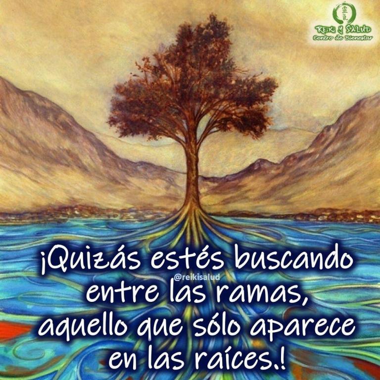 ¡Quizás estés buscando entre las ramas, aquello que sólo aparece en las raíces!!. Si bien…