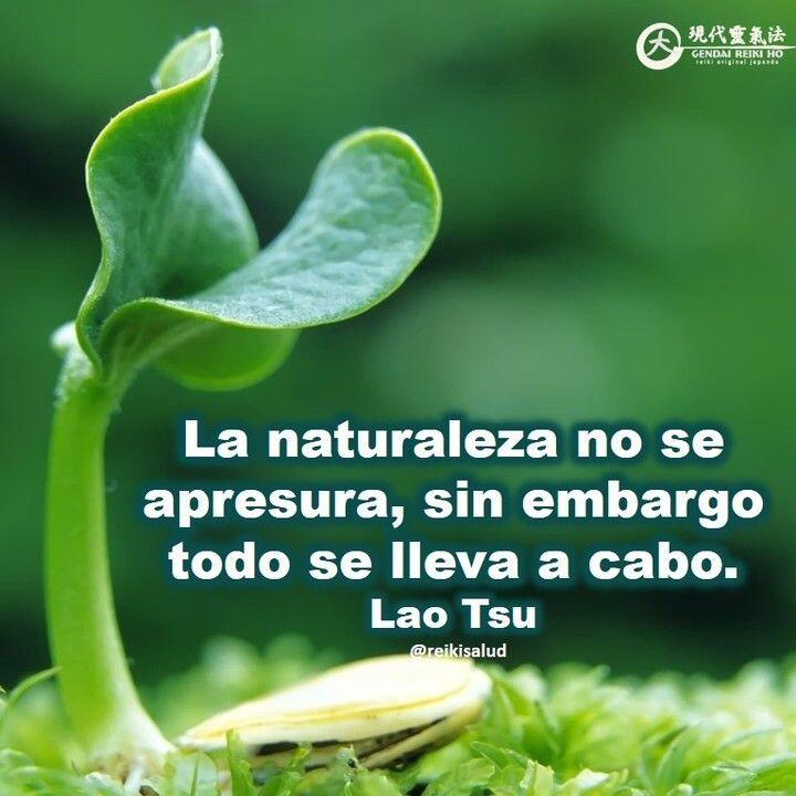 La naturaleza no se apresura, sin embargo, todo se lleva a cabo. Lao Tsu.Cada cosa tiene su momento y cada momento, a su vez, nos abre la puerta a una nueva oportunidad.Es por eso que los invitamos a recorrer el camino, teniendo en cuenta los cinco principios de Reiki, de manera de promover una vida en armonia.Si los interiorizamos, entenderemos que así como es la naturaleza, así somos nosotros, todo lo que tiene que darse se dará, sin apresurarse, porque todo tiene su tiempo, así como diría mi mama, el tiempo Dios es perfecto. Enfoquemos la energía en lo que deseamos, sin apego al resultado y tiempo.Una bella reflexión que hoy comparto con ustedes.Con toda la certeza que, si lo CREES, lo CREAS, compartimos desde Casa Gendai Reiki Ho, un abrazo de luz, con la confianza de que Dios está con nosotros y somos uno con la conciencia universal, y recuerda: ¡a sonreír, agradecer y abrazar tu vida!Gracias, gracias, gracias, que la luz de Reiki, nos acompañe siempre, Namaste, @dinopierini🌐Página WEB: www.gReiki.com#espiritualidad #amor #felicidad #abundancia #meditacion #vida #paz #love #luz #gratitud #crecimientopersonal #consciencia #alma #bienestar #inspiracion #louisehay #despertarespiritual #reiki #reikiusui